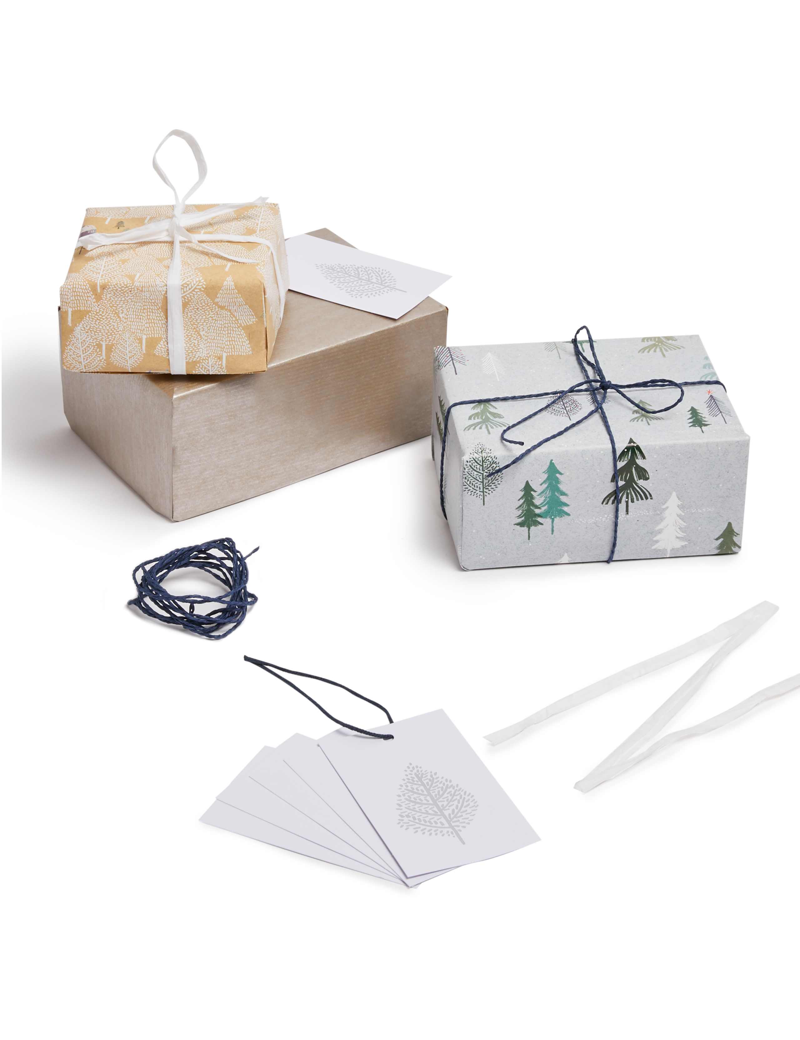Contemporary Wrapping Paper, Tag & Ribbon Pack - 4.5m 2 of 3