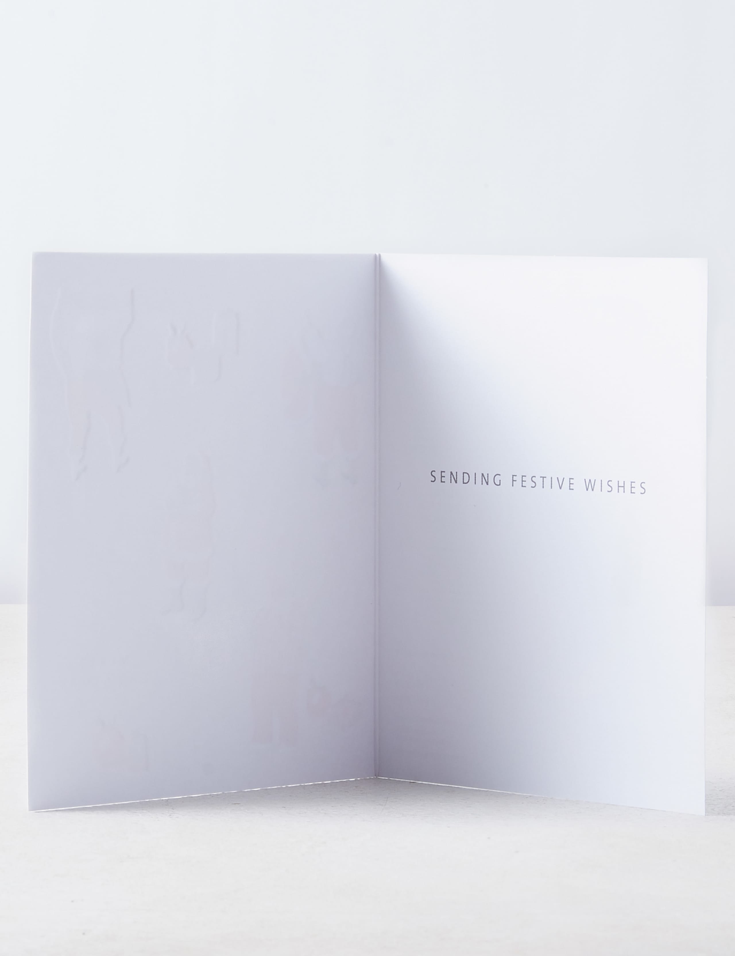 Traditional Santa Themed Charity Christmas Cards - Pack of 15 - 3 Designs 2 of 3