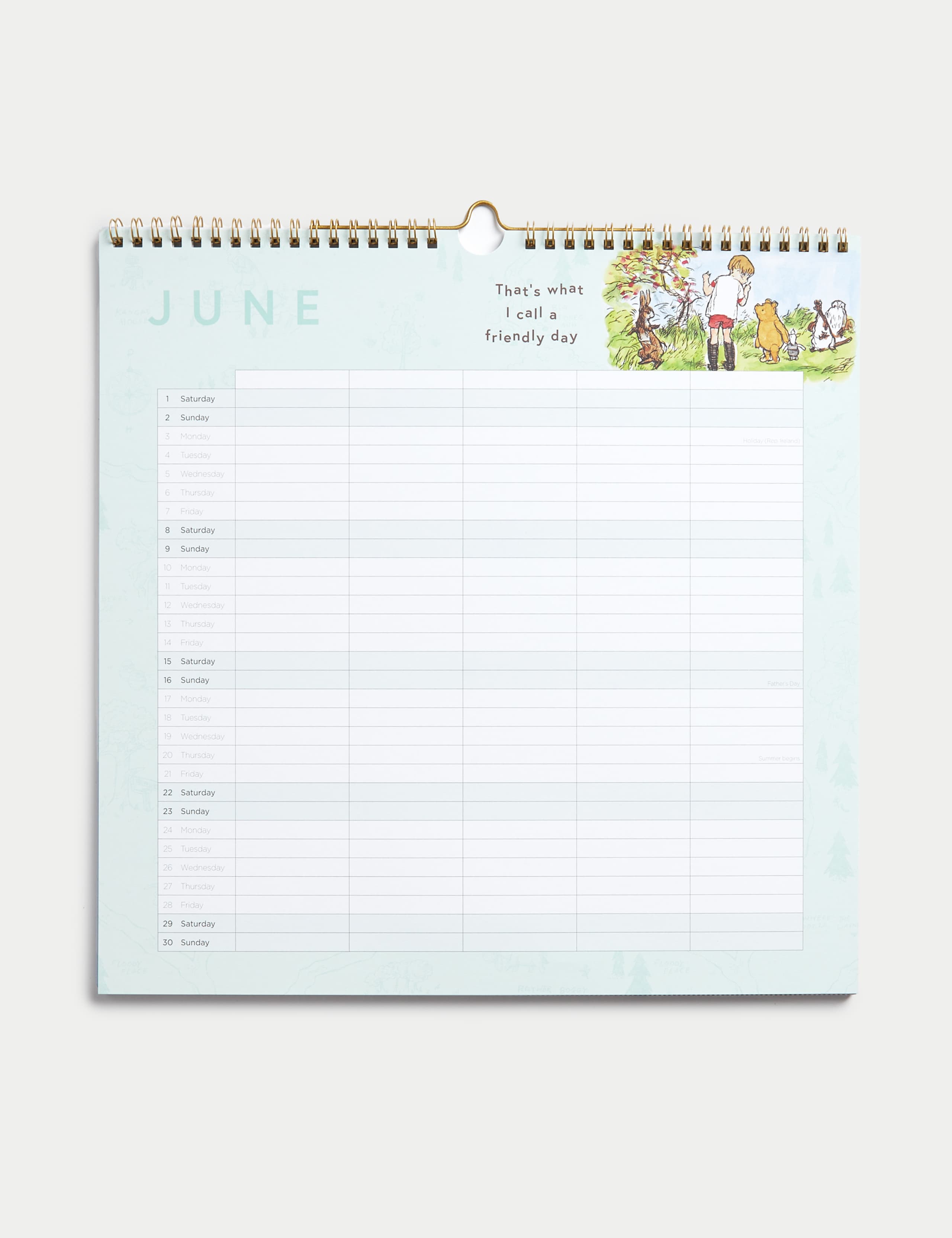2024 Calendar & Family Organiser - Winnie the Pooh™ Design 3 of 3