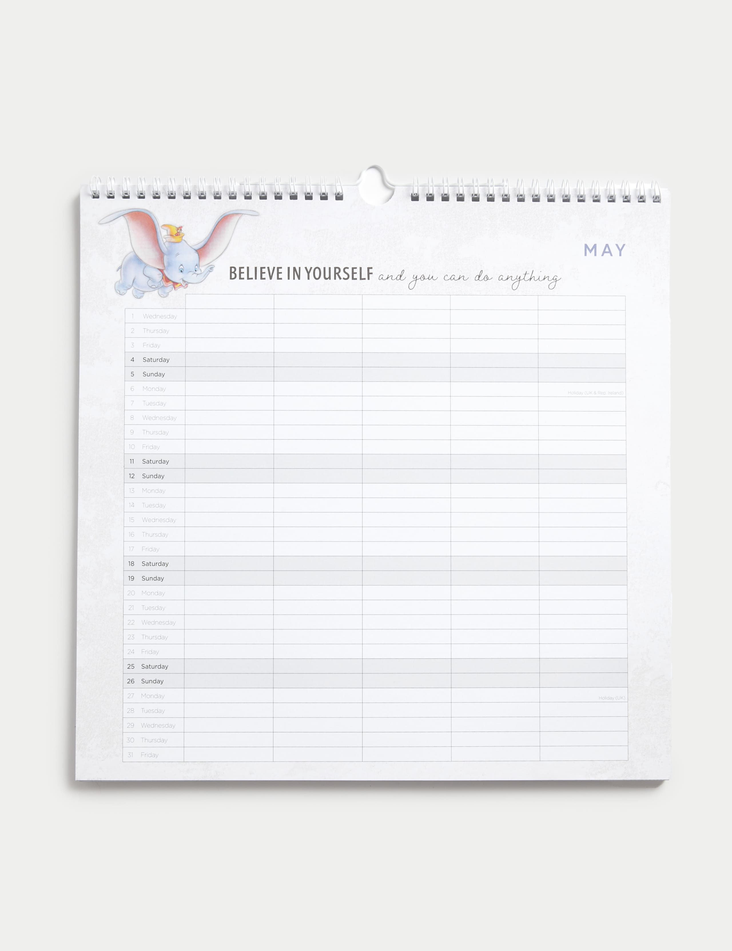 2024  Calendar & Family Organiser - Disney 100 Design 2 of 3