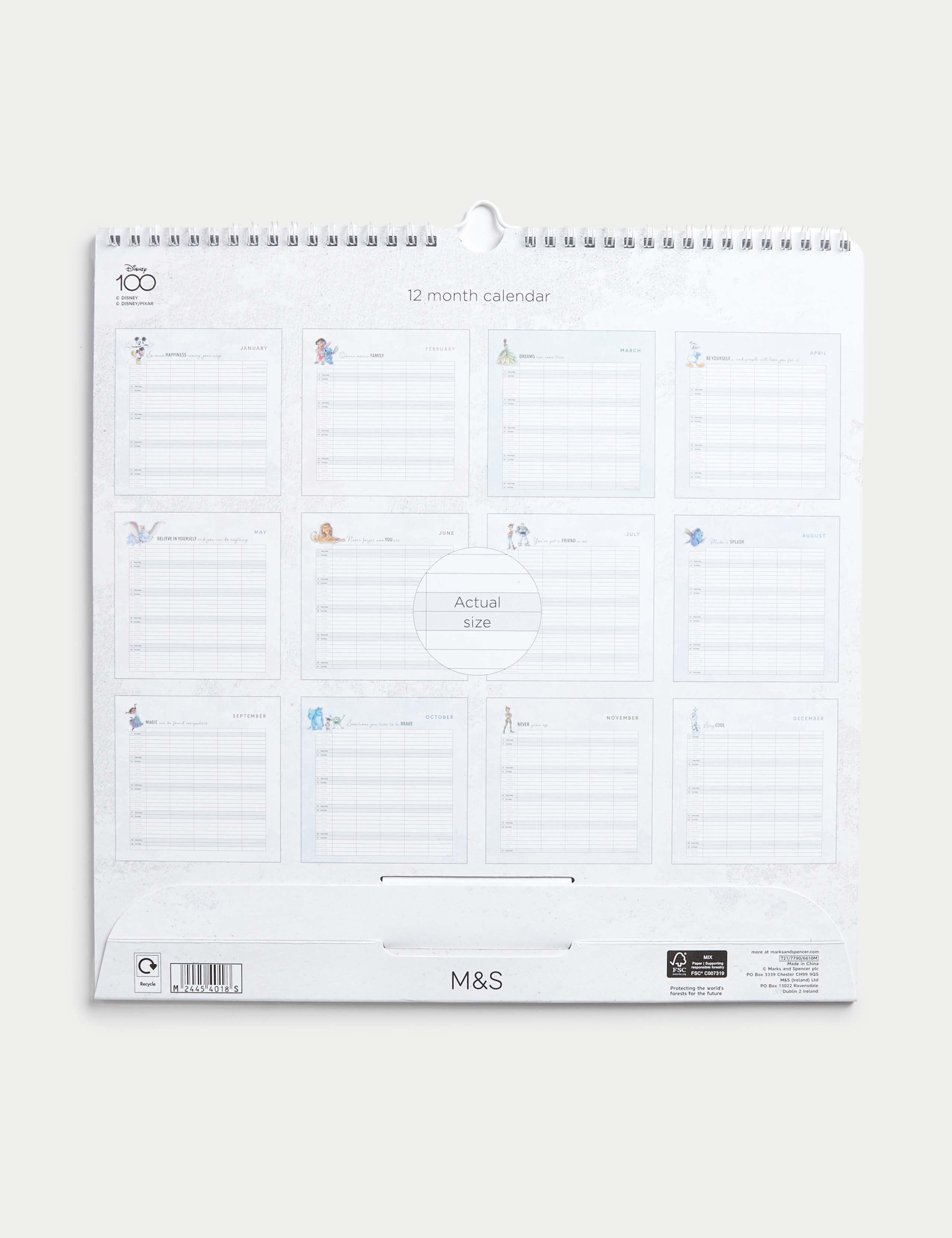 2024  Calendar & Family Organiser - Disney 100 Design 3 of 3