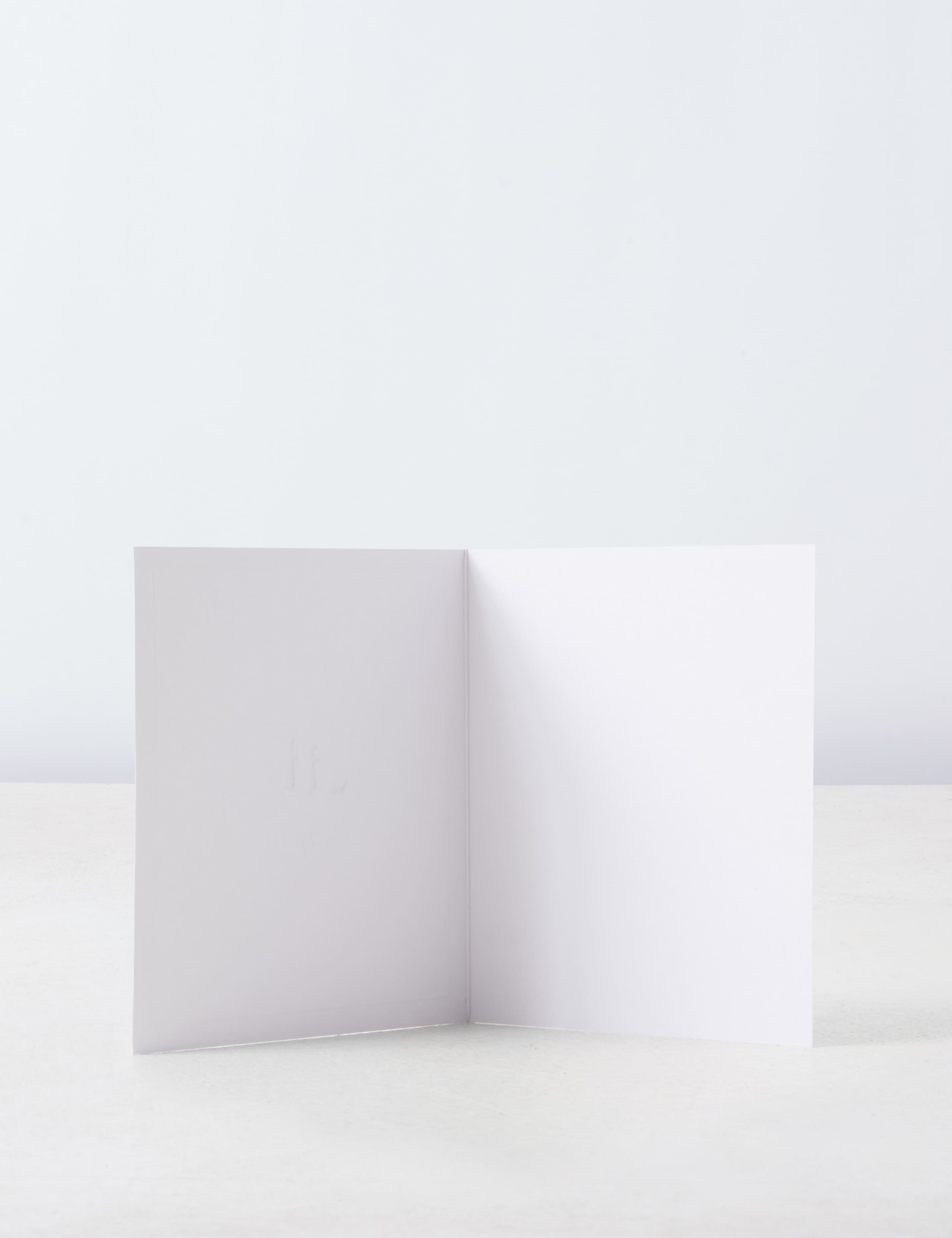 Luxury Nativity Charity Christmas Cards - 15 Card Pack 2 of 6