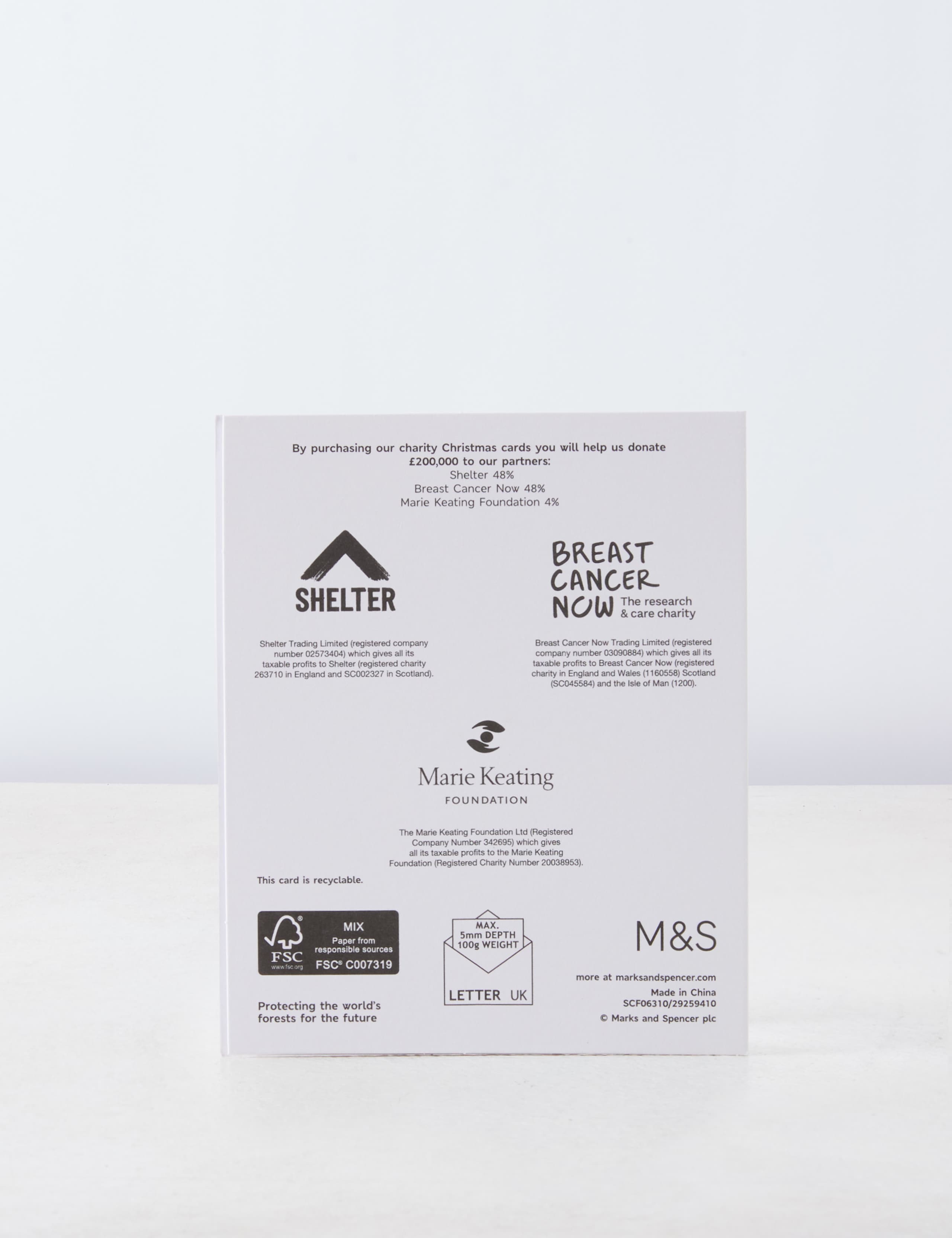 Luxury Nativity Charity Christmas Cards - 15 Card Pack 3 of 6