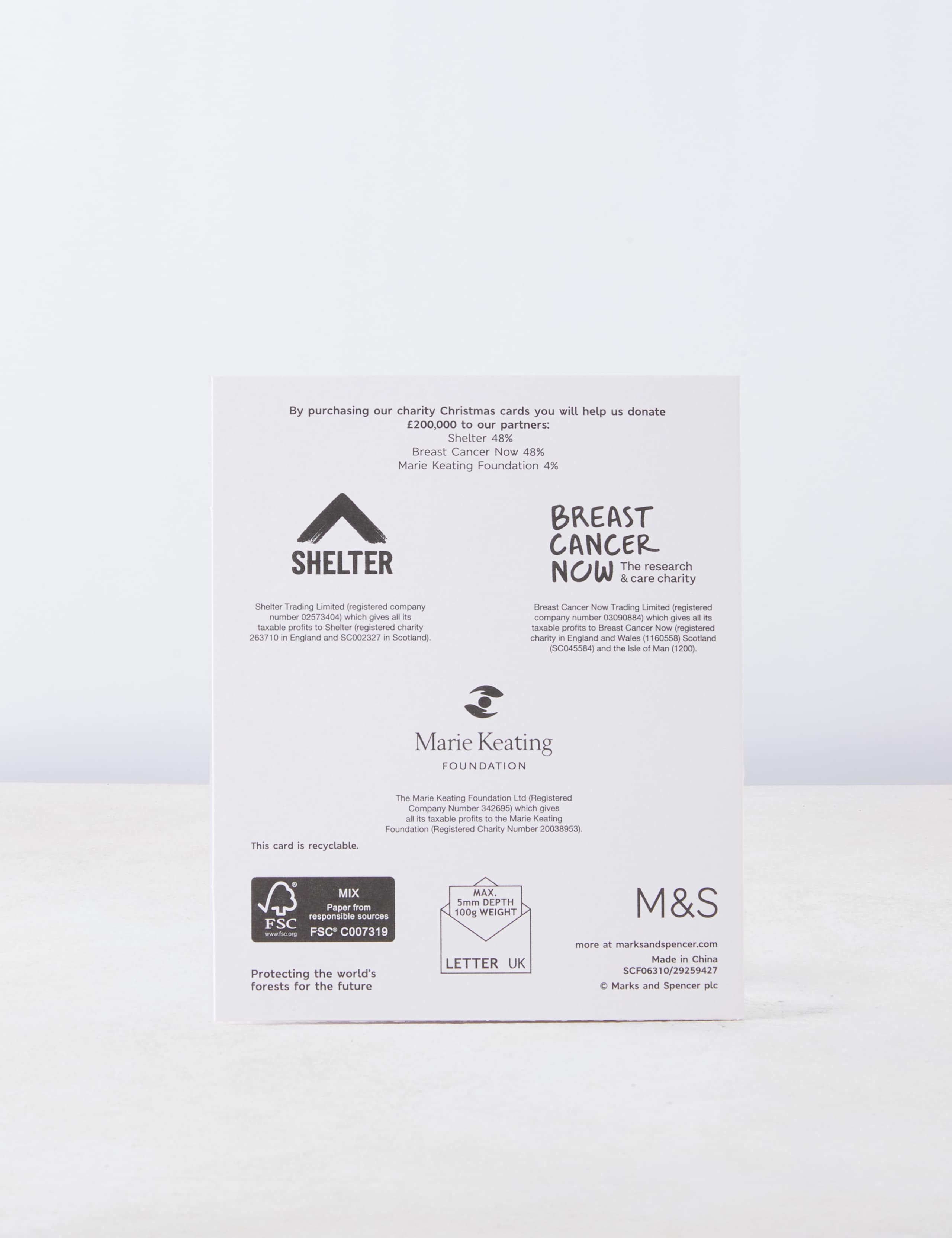 Luxury Silver Foil Charity Christmas Cards - 15 Card Pack 3 of 6