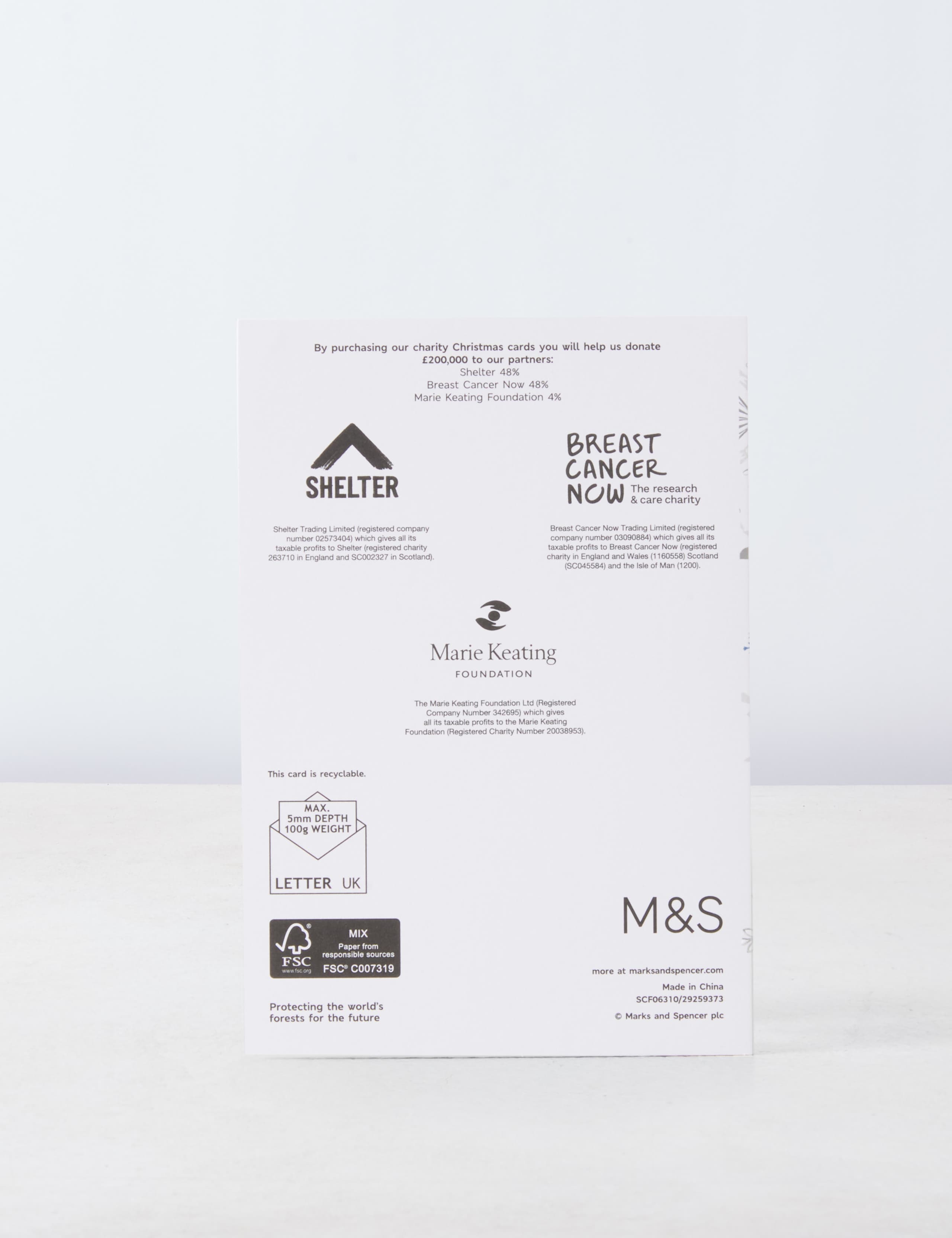 Luxury Foil Charity Christmas Cards - 20 Card Twin-Pack 4 of 6