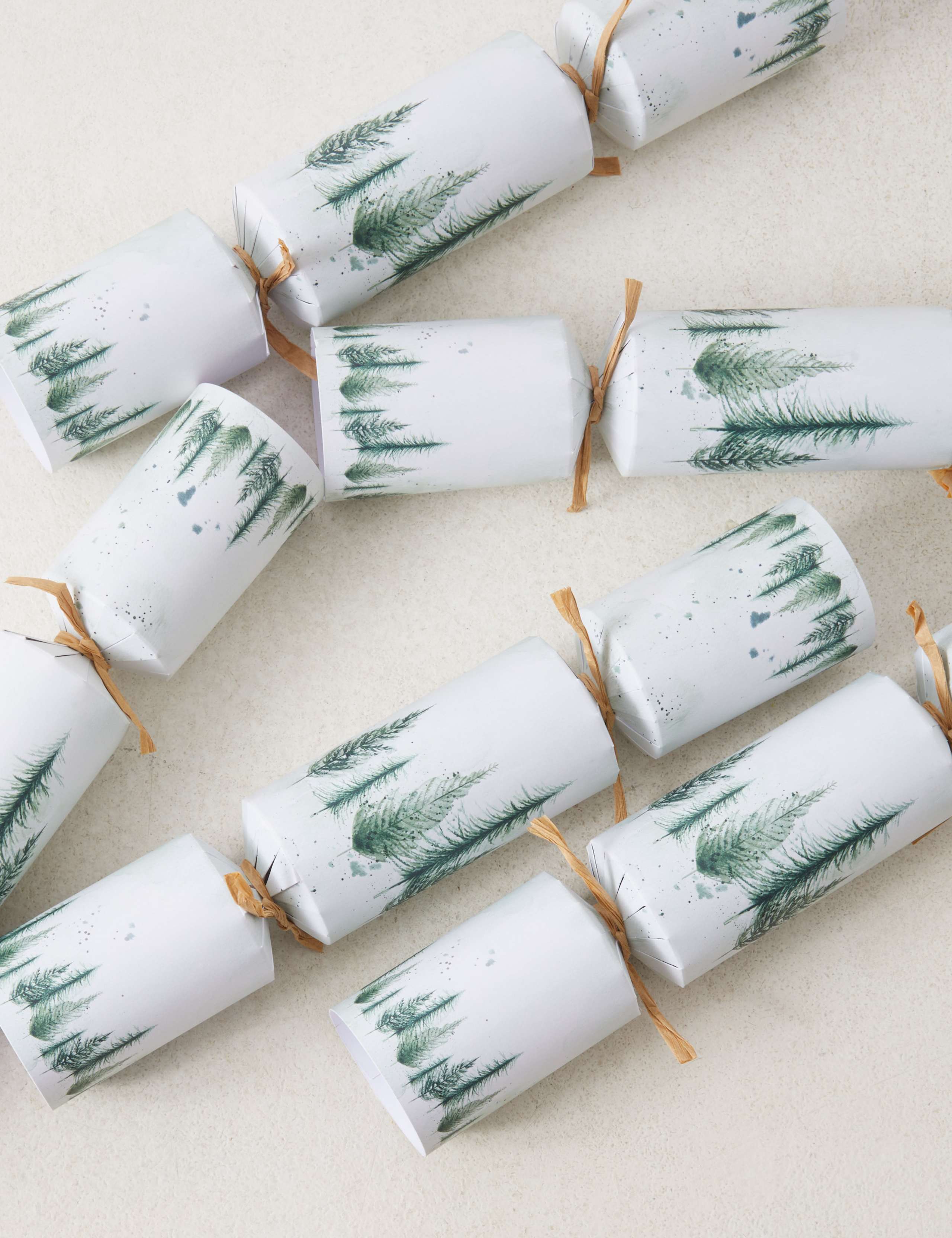 Christmas Crackers with 'Who Am I?' Game - Pack of 12, 1 Design 1 of 4