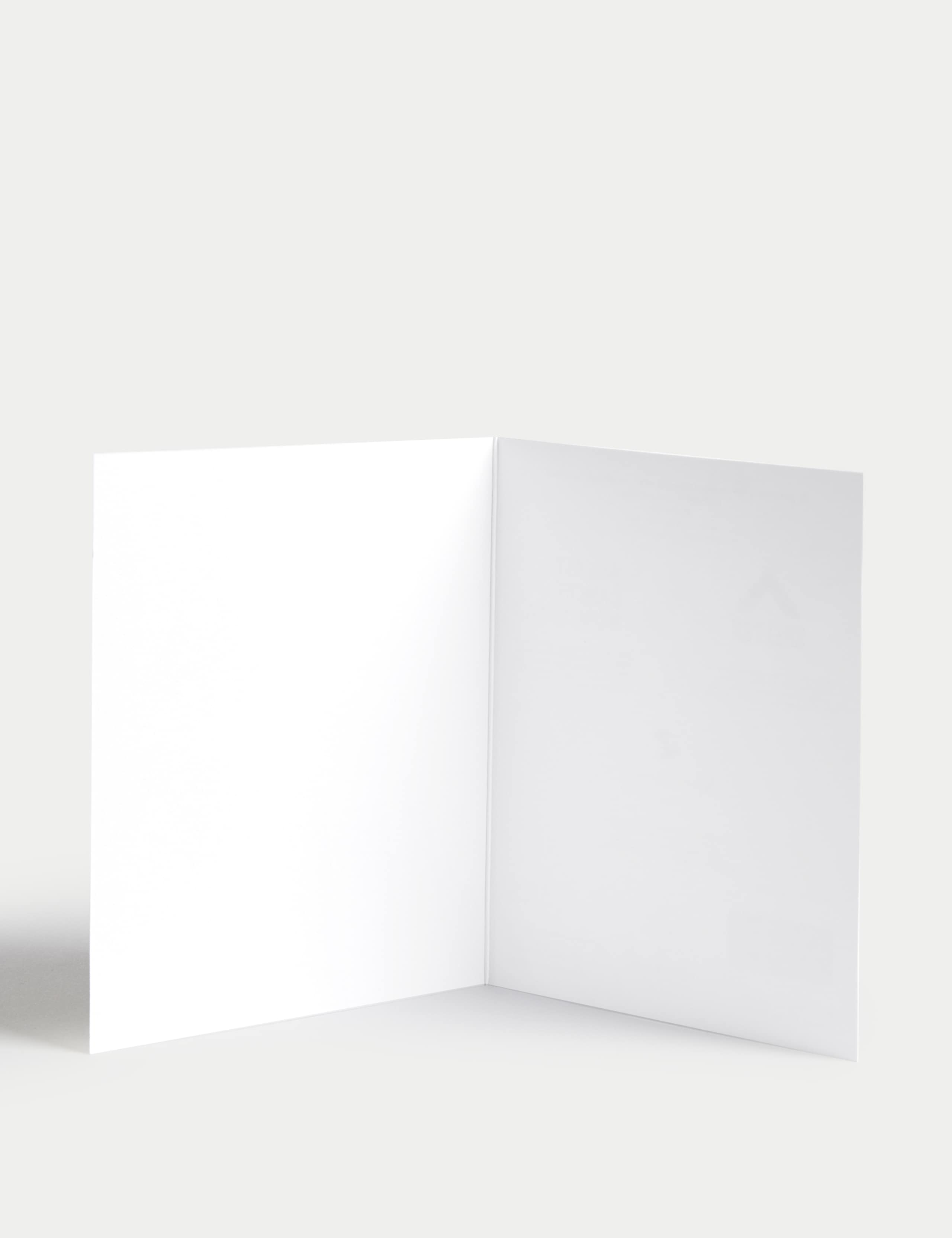 Luxury Charity Christmas Cards - Silver Designs 3 of 6