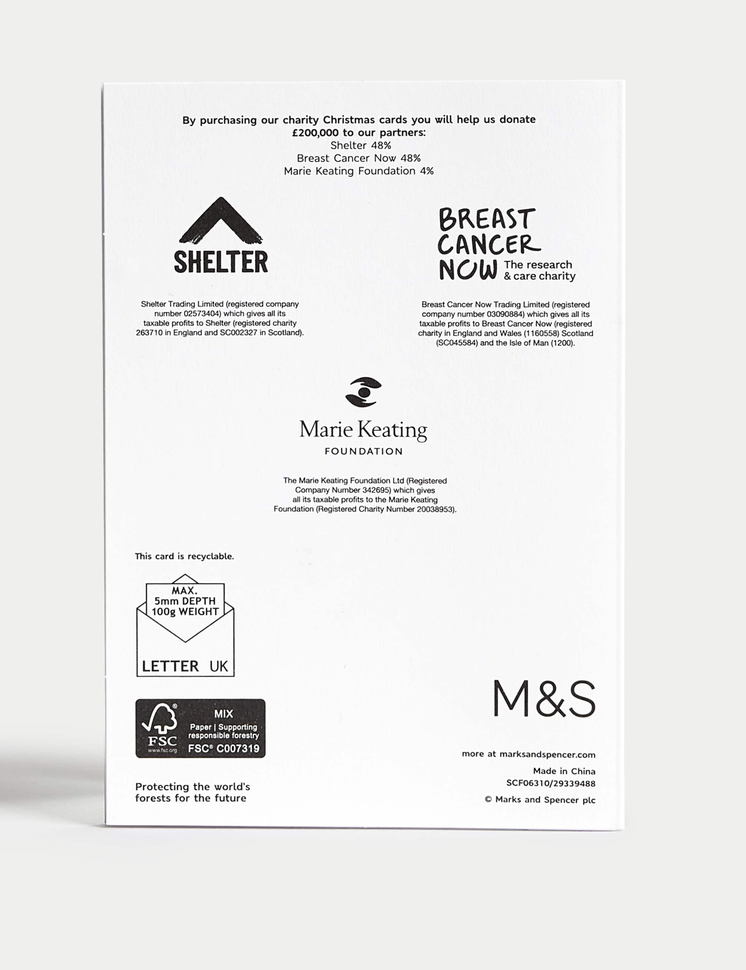 Luxury Charity Christmas Cards - Festive Designs 4 of 5