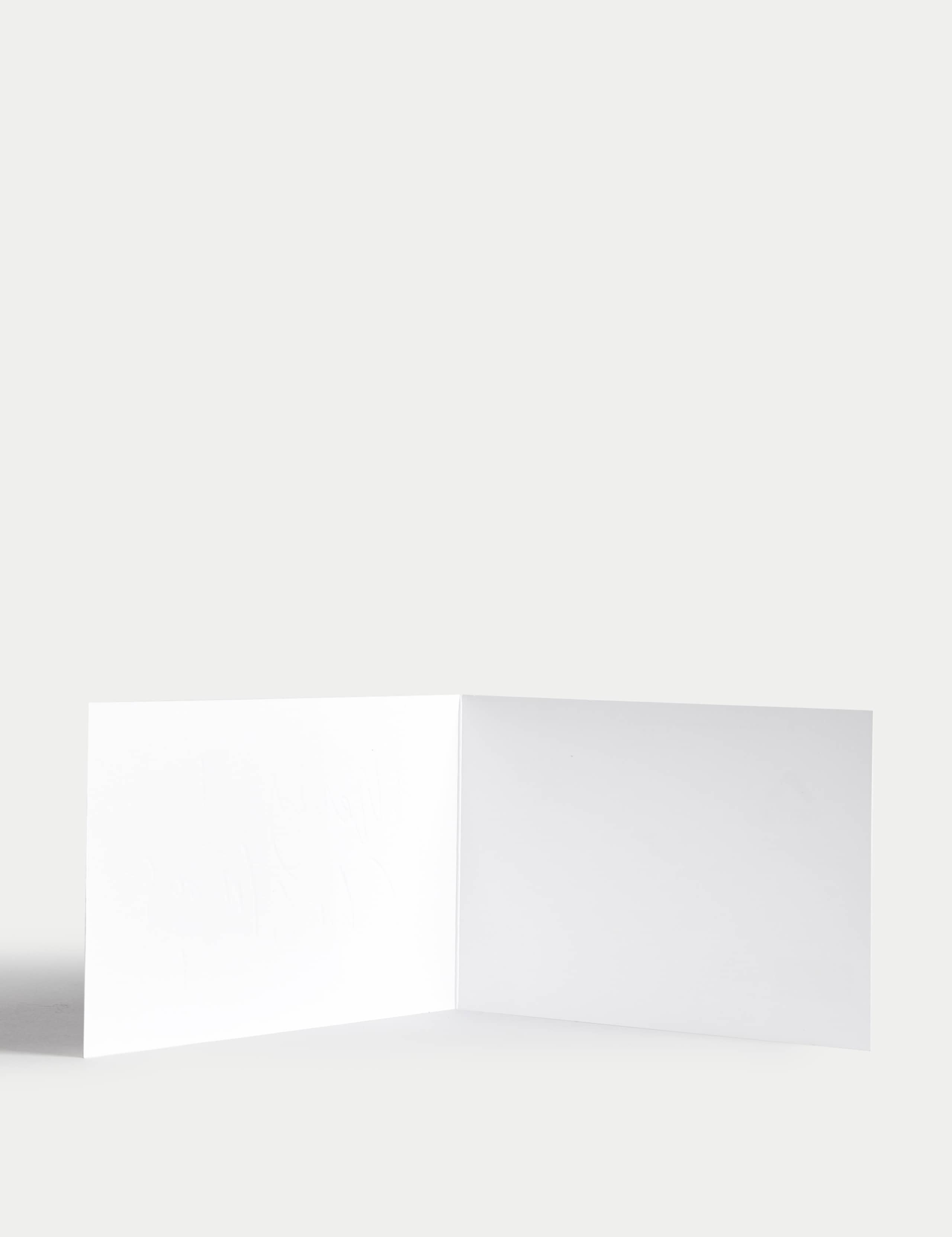 Luxury Charity Christmas Cards - Festive Designs 4 of 5