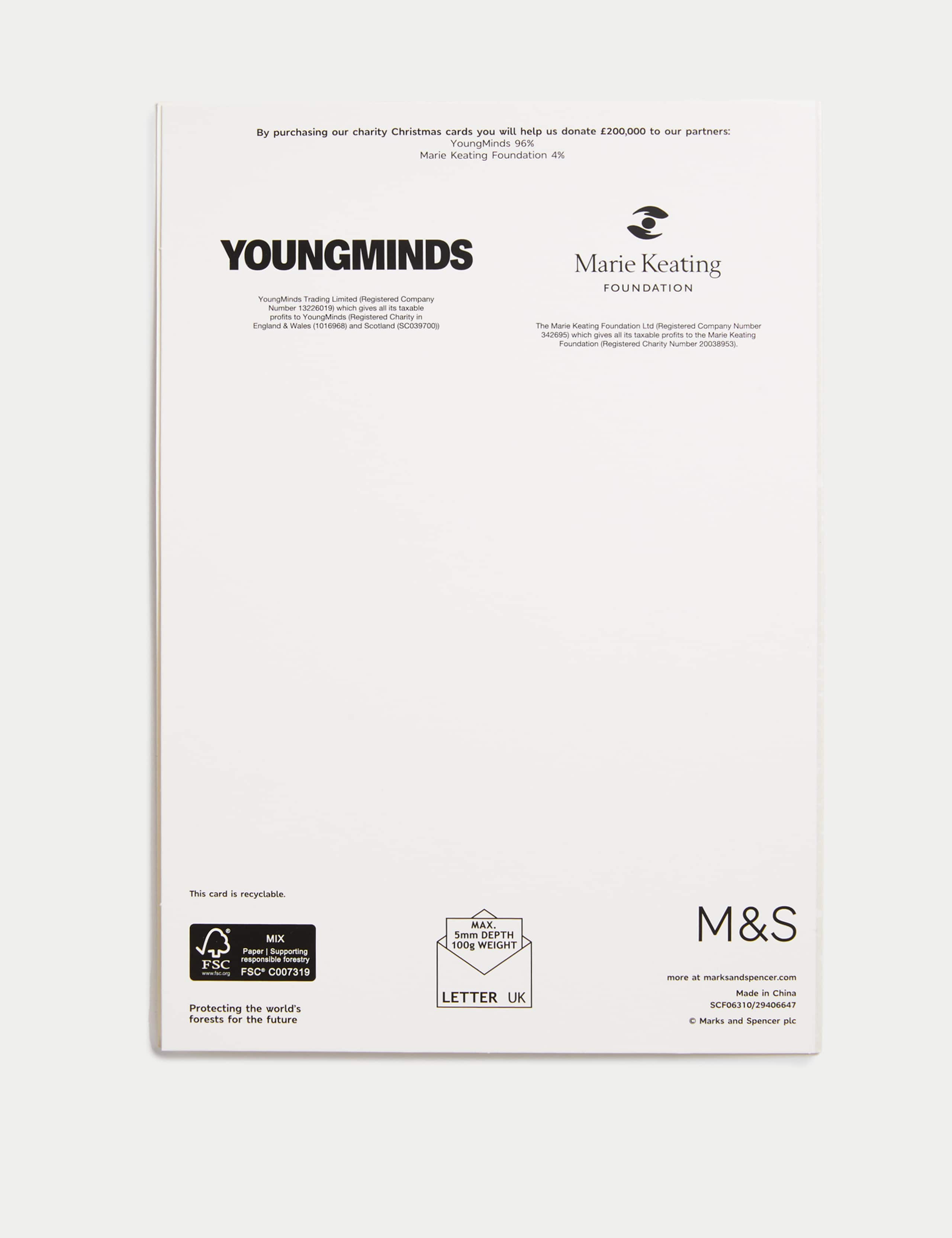 20 Charity Christmas Cards - Multipack Keepsake Selection Box 9 of 9