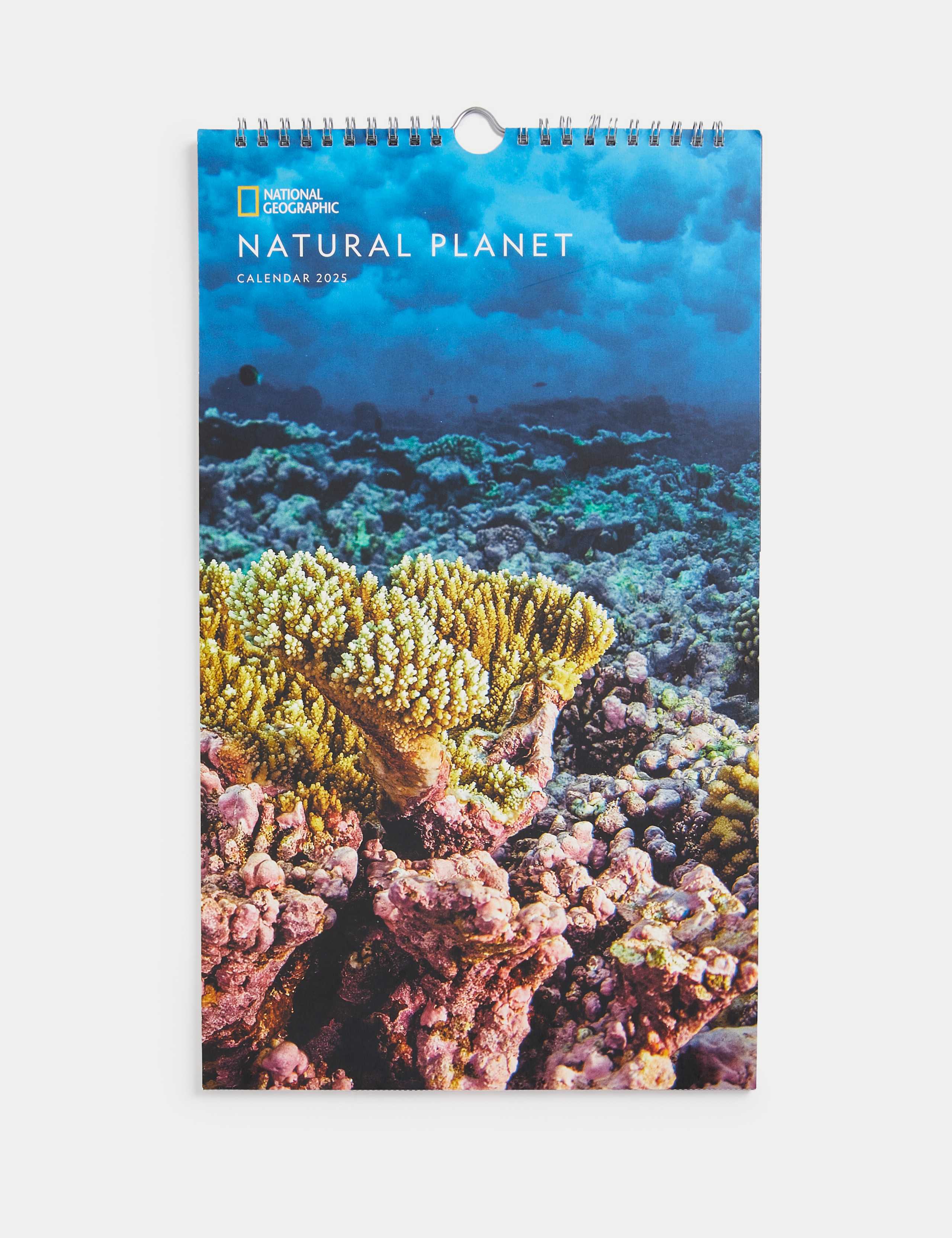 2025 Medium Calendar - National Geographic Natural Planet 1 of 6