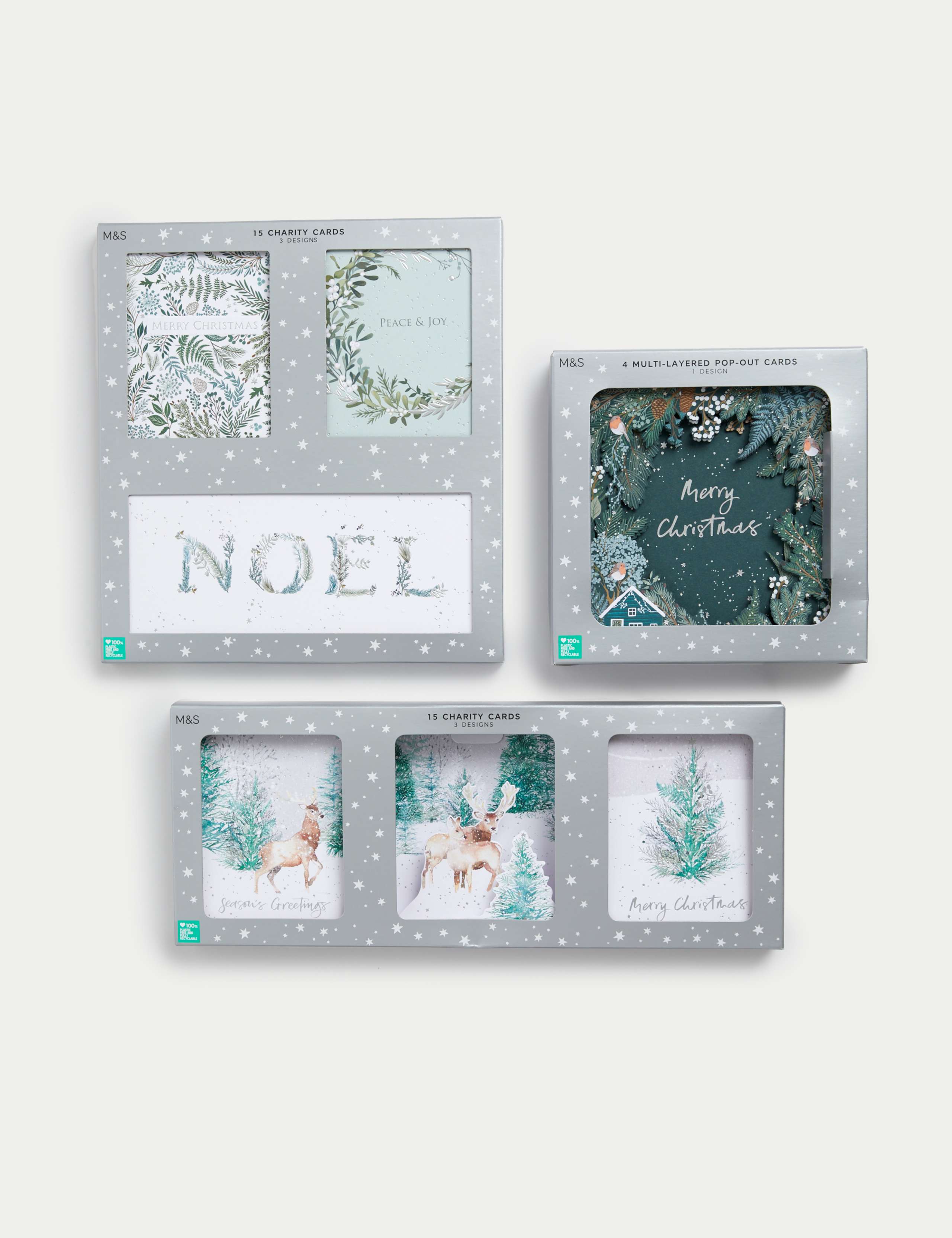 34 Charity Christmas Cards - Winter Foliage Designs 1 of 10