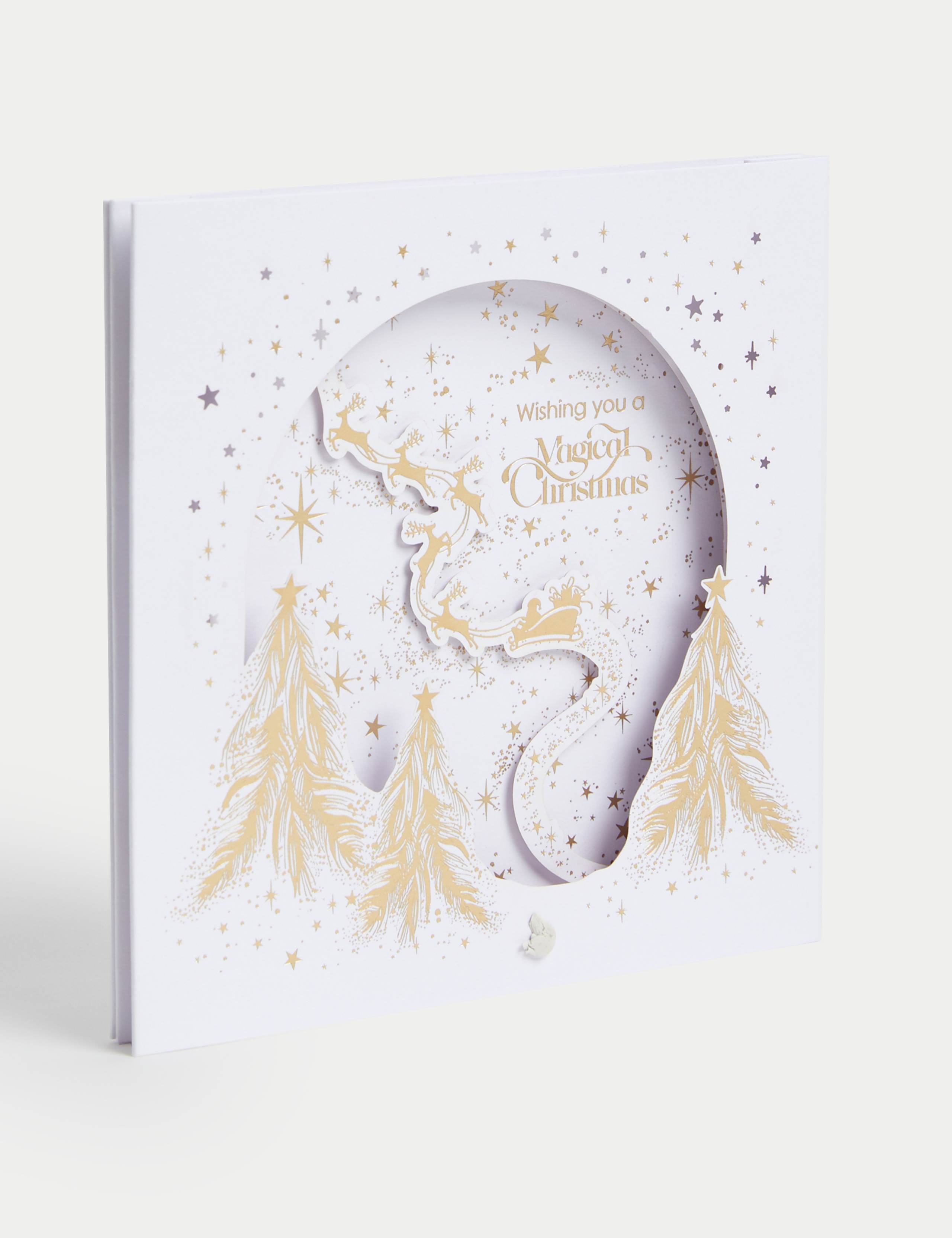24 Charity Christmas Cards - Gold & Silver Foil Designs 9 of 9