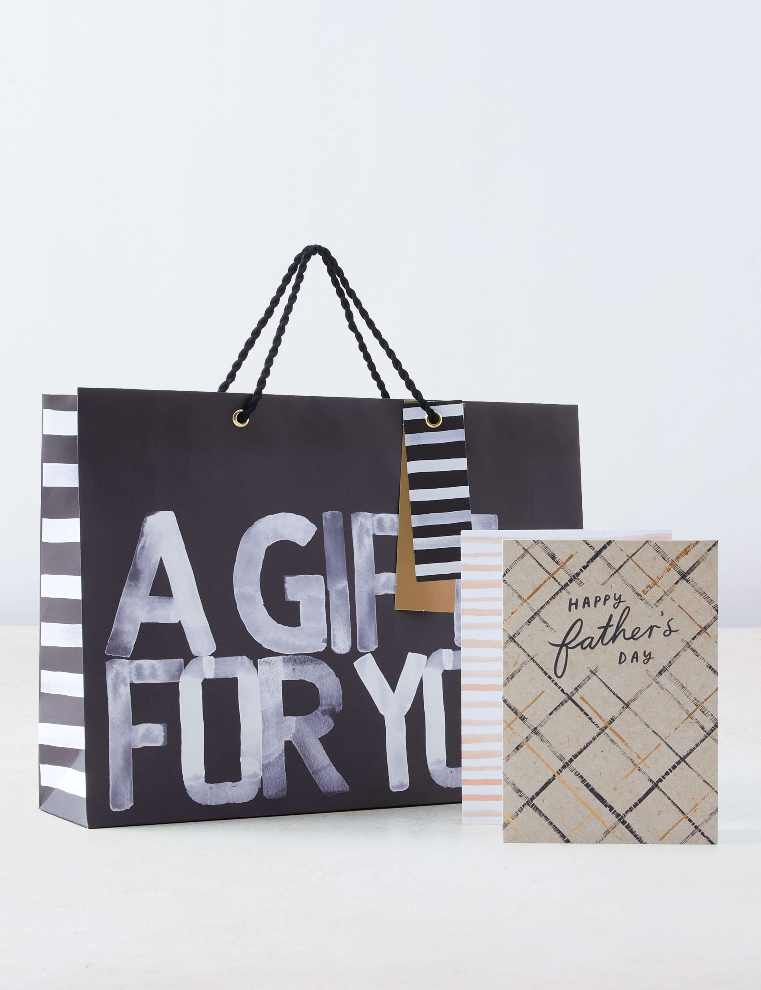 Classic Father’s Day Card & Gift Bag Duo 1 of 7