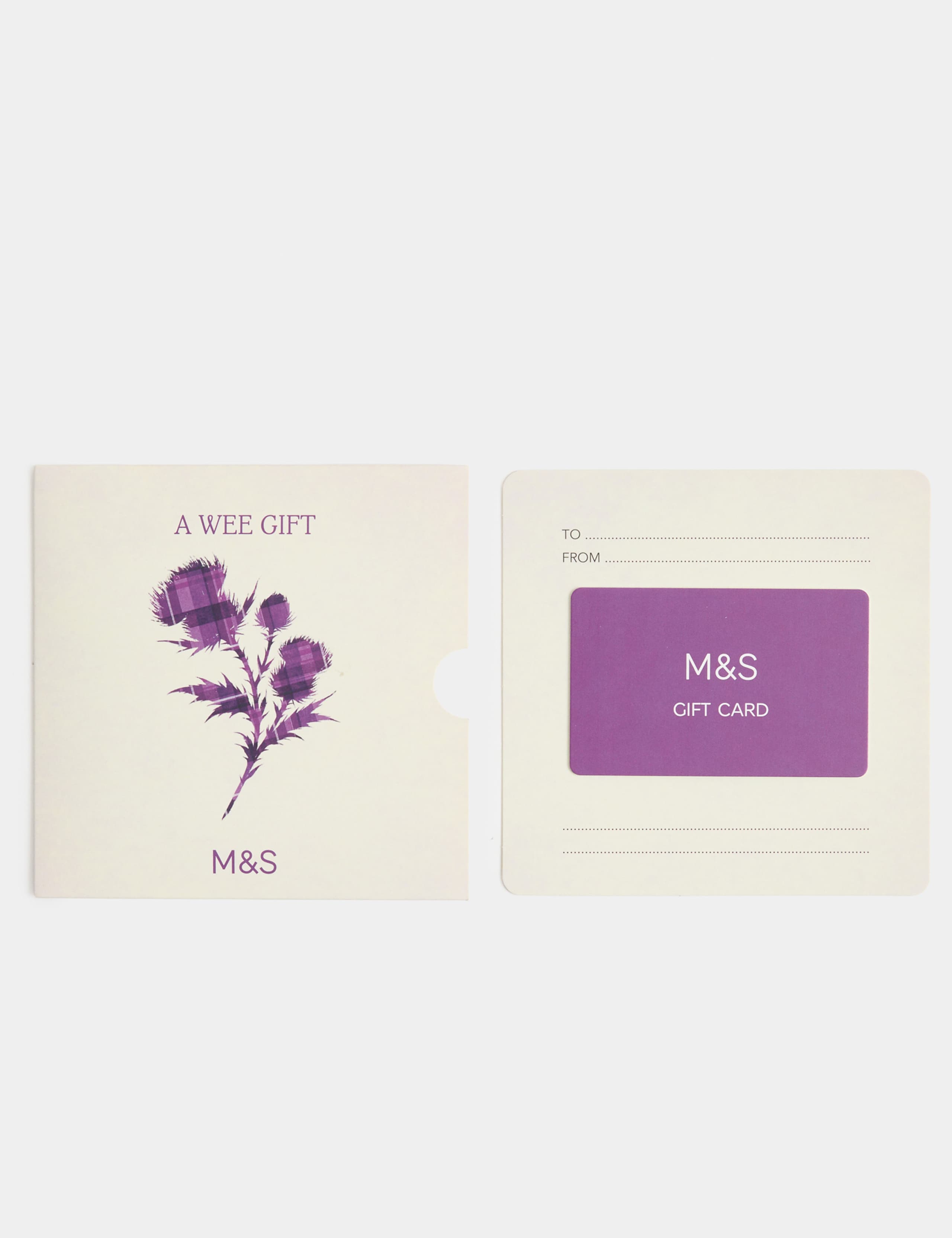 Scottish Thistle Gift Card 2 of 3