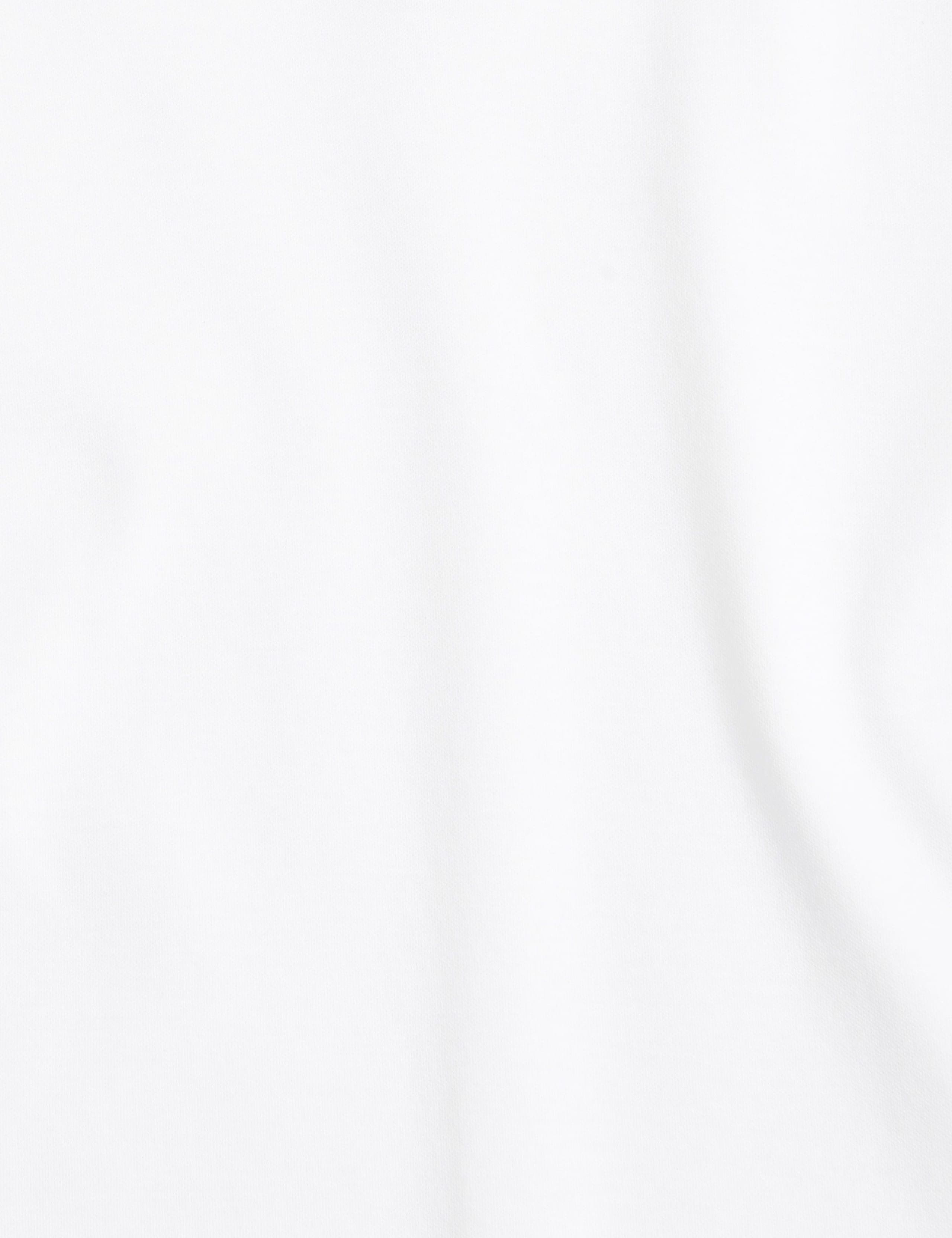 Pure Mercerised Cotton V-Neck T-Shirt 3 of 3