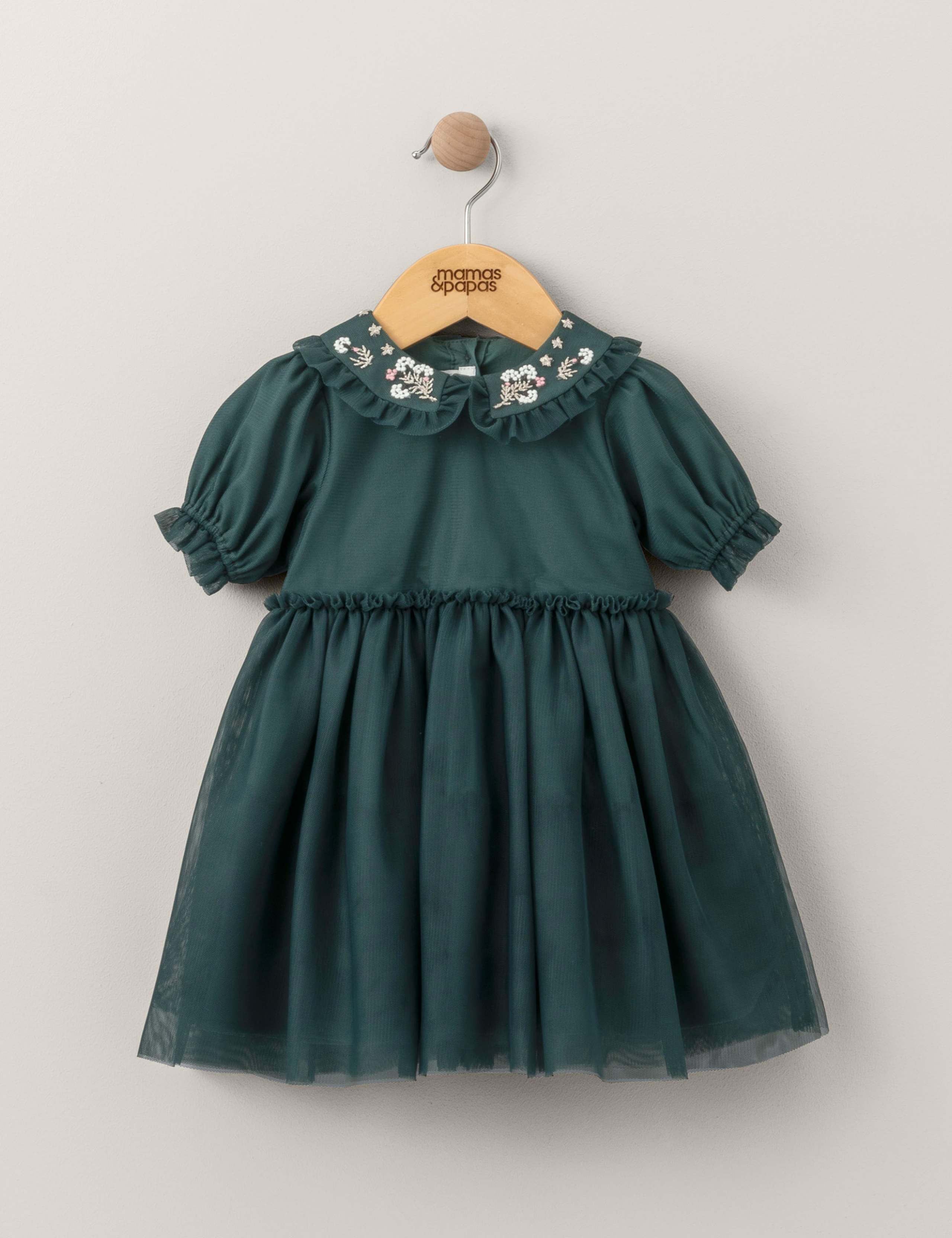 Embroidered Mesh Dress (0-3 Yrs) 3 of 3