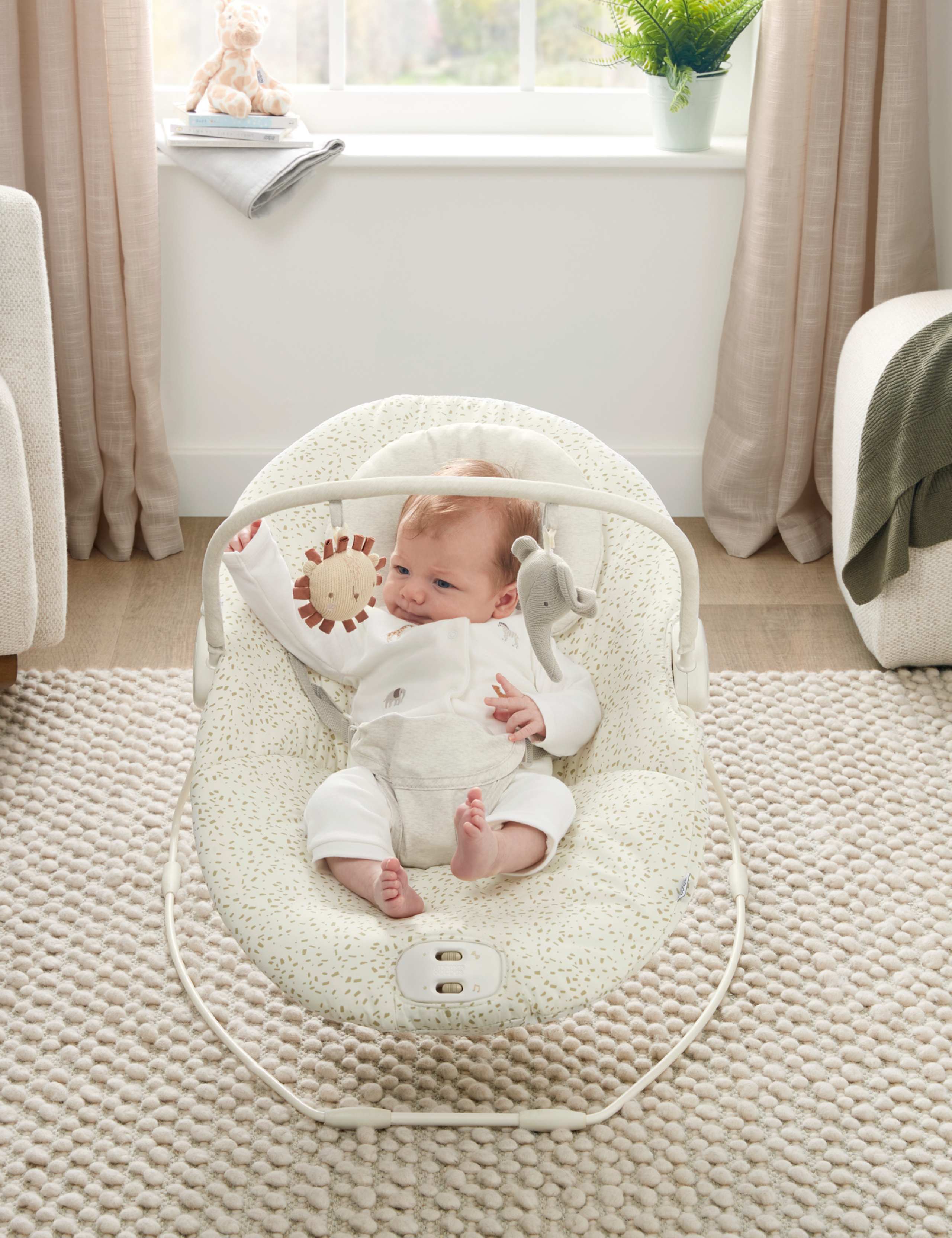 Born to be Wild Capella Bouncer Cradle 3 of 6