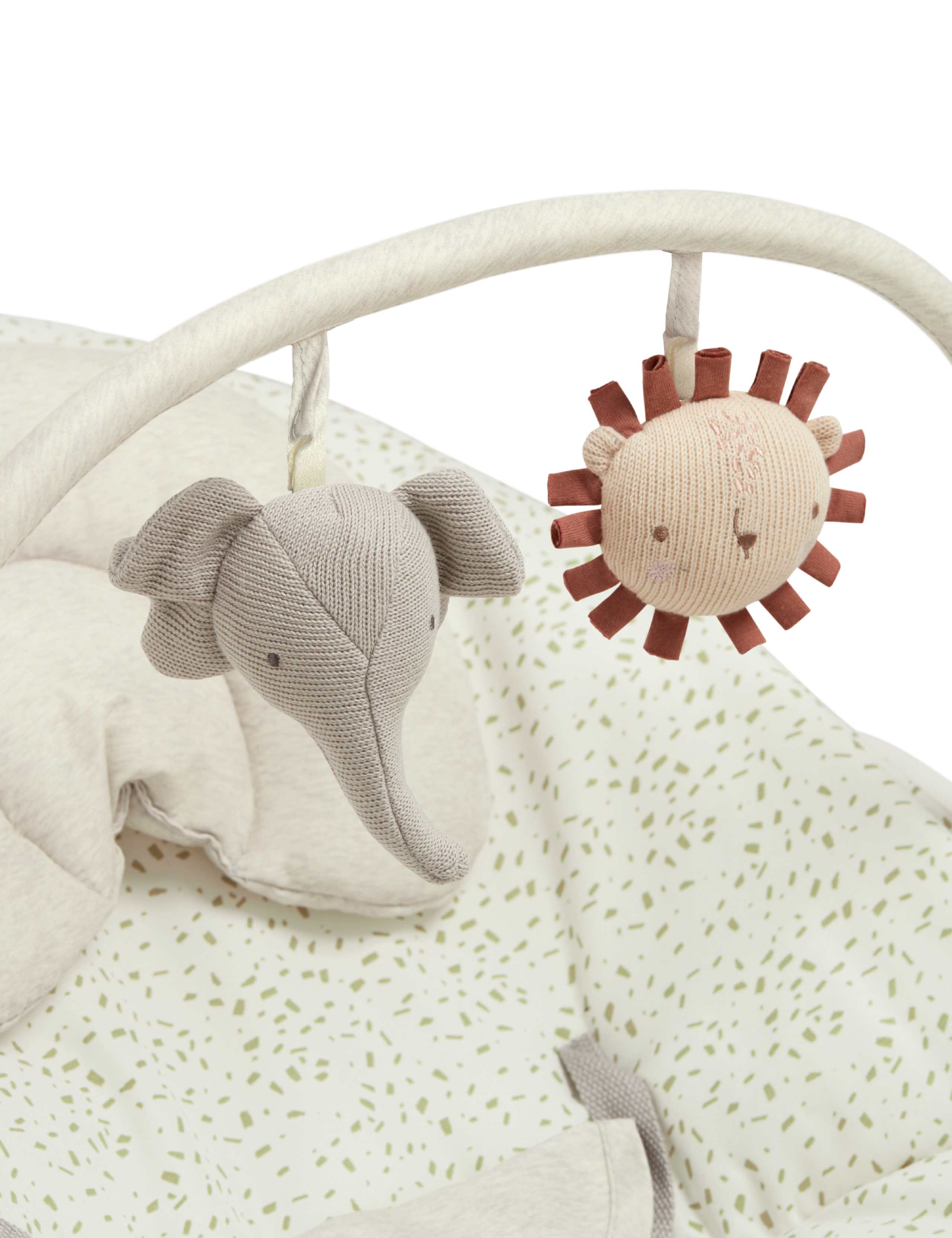 Born to be Wild Capella Bouncer Cradle 5 of 6