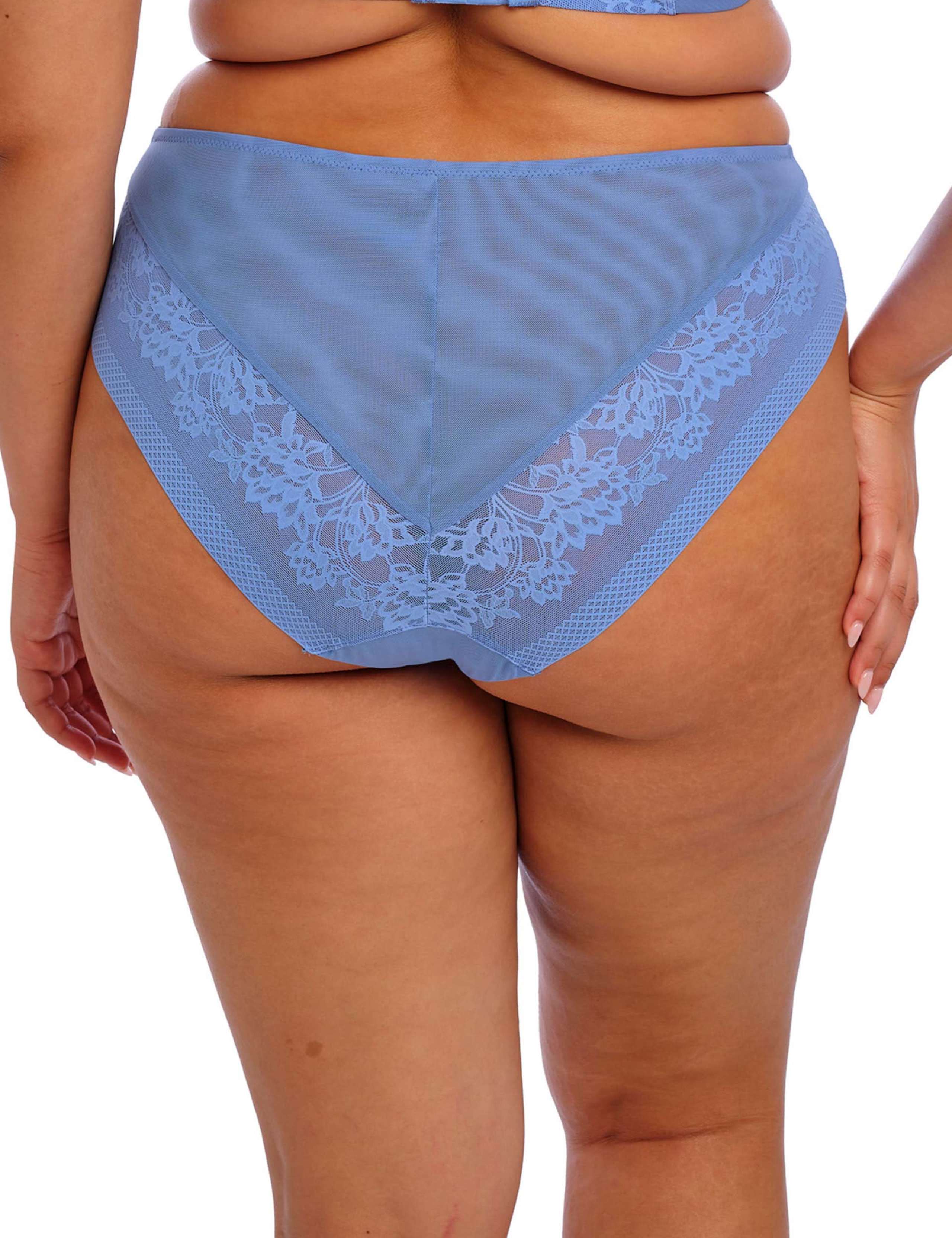 Nerina Mesh & Lace High Waisted Briefs 5 of 6