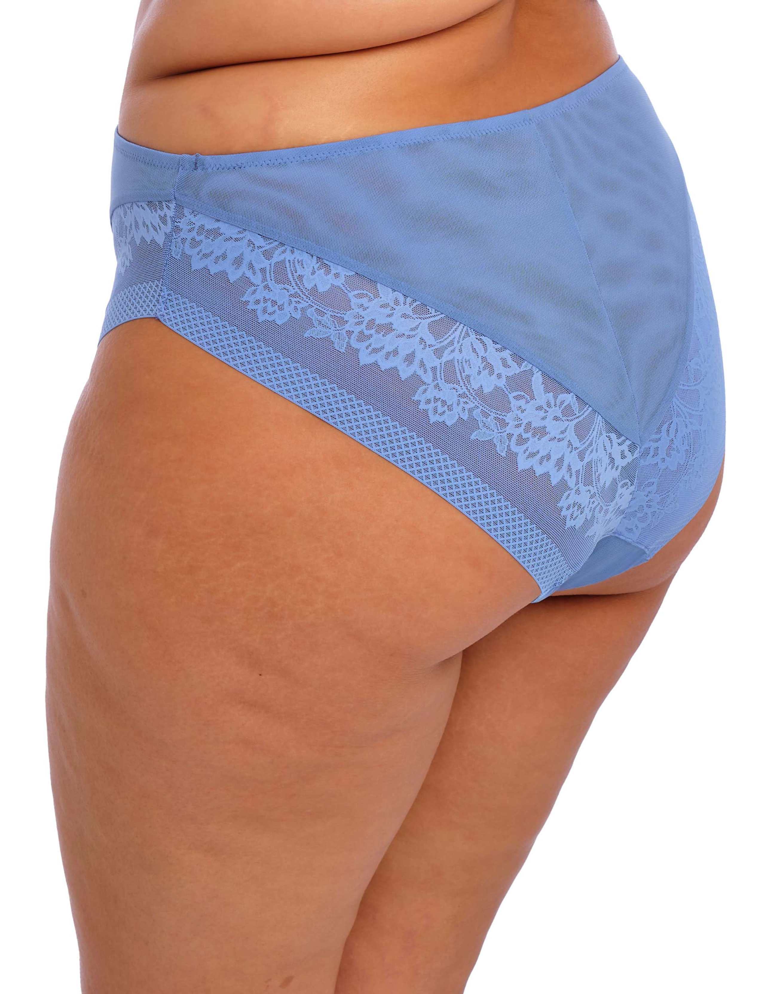 Nerina Mesh & Lace High Waisted Briefs 6 of 6
