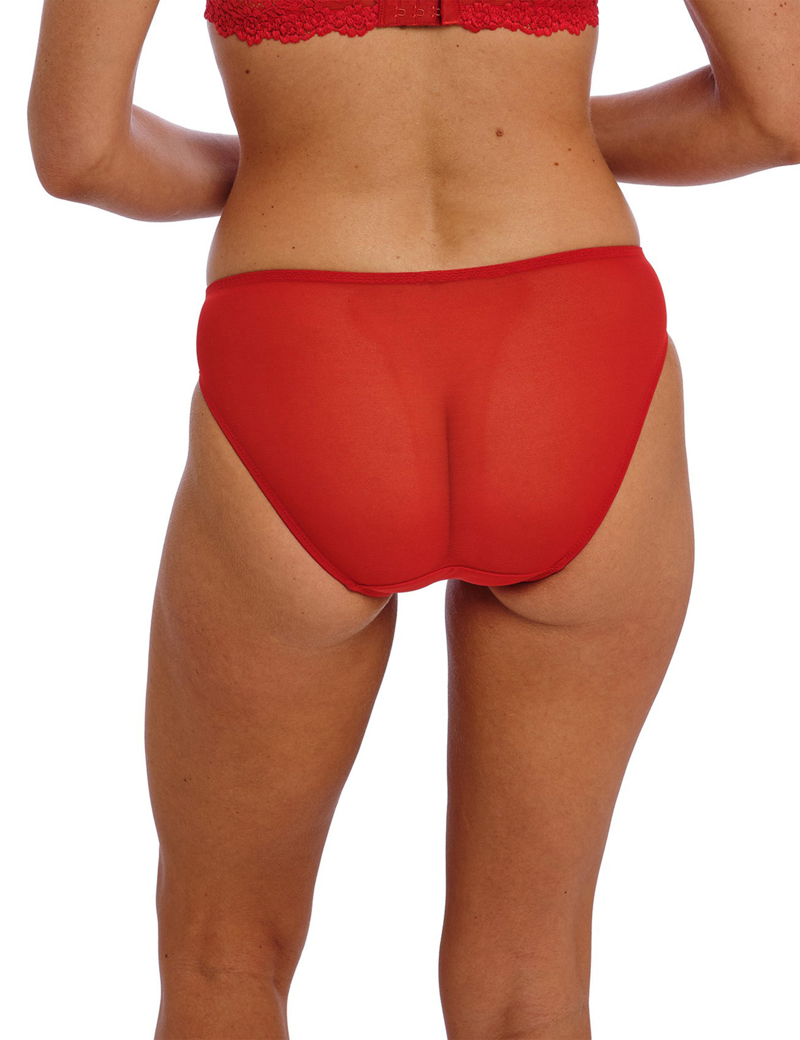 Embrace Mesh & Lace Bikini Knickers 3 of 4