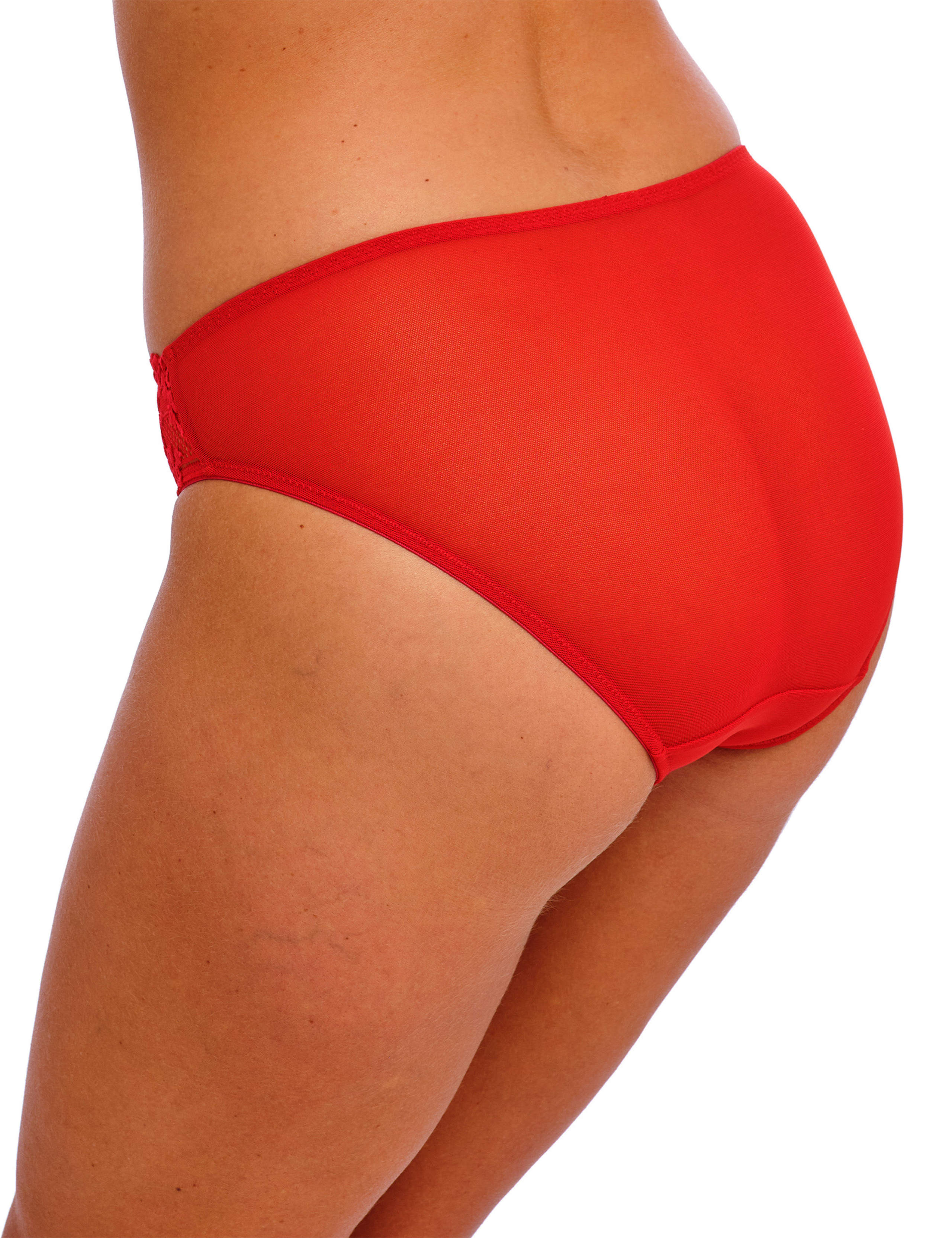 Embrace Mesh & Lace Bikini Knickers 4 of 4