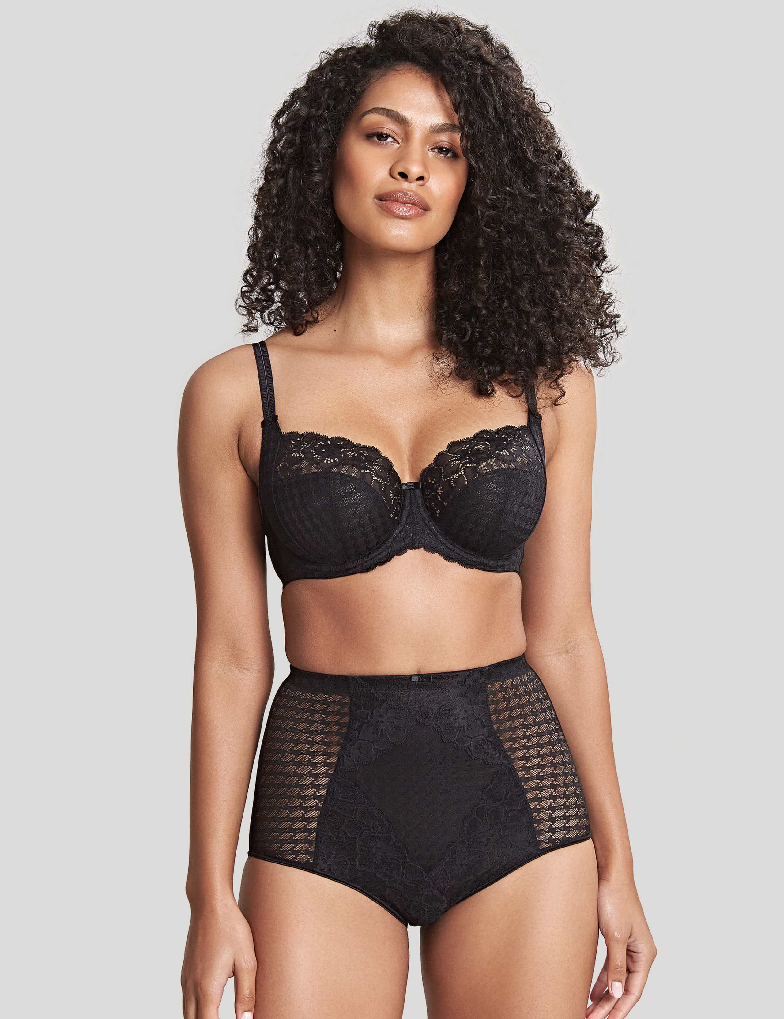 Envy Mesh & Lace Full Briefs 1 of 4