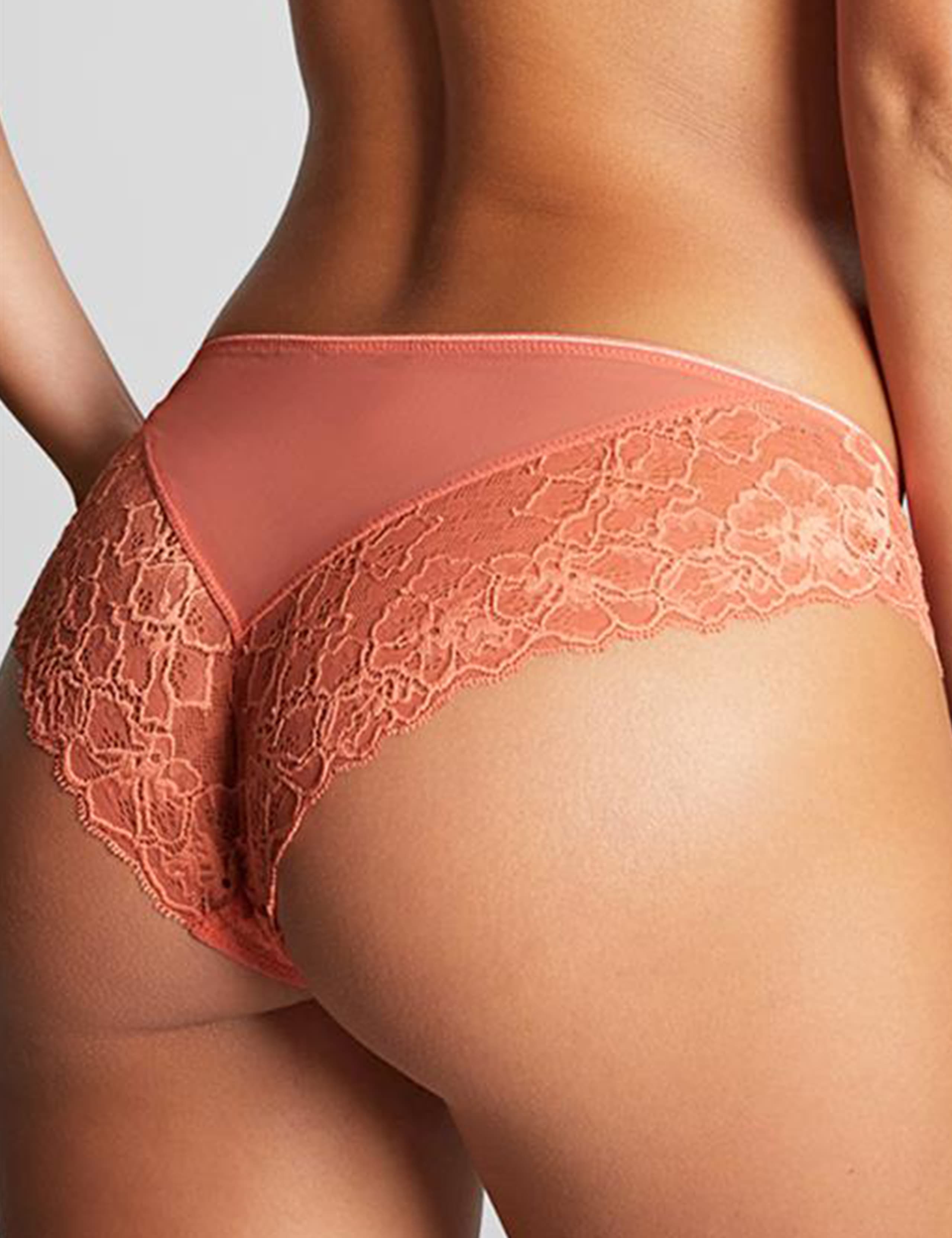 Envy Brazilian Mesh & Lace Knickers 3 of 4