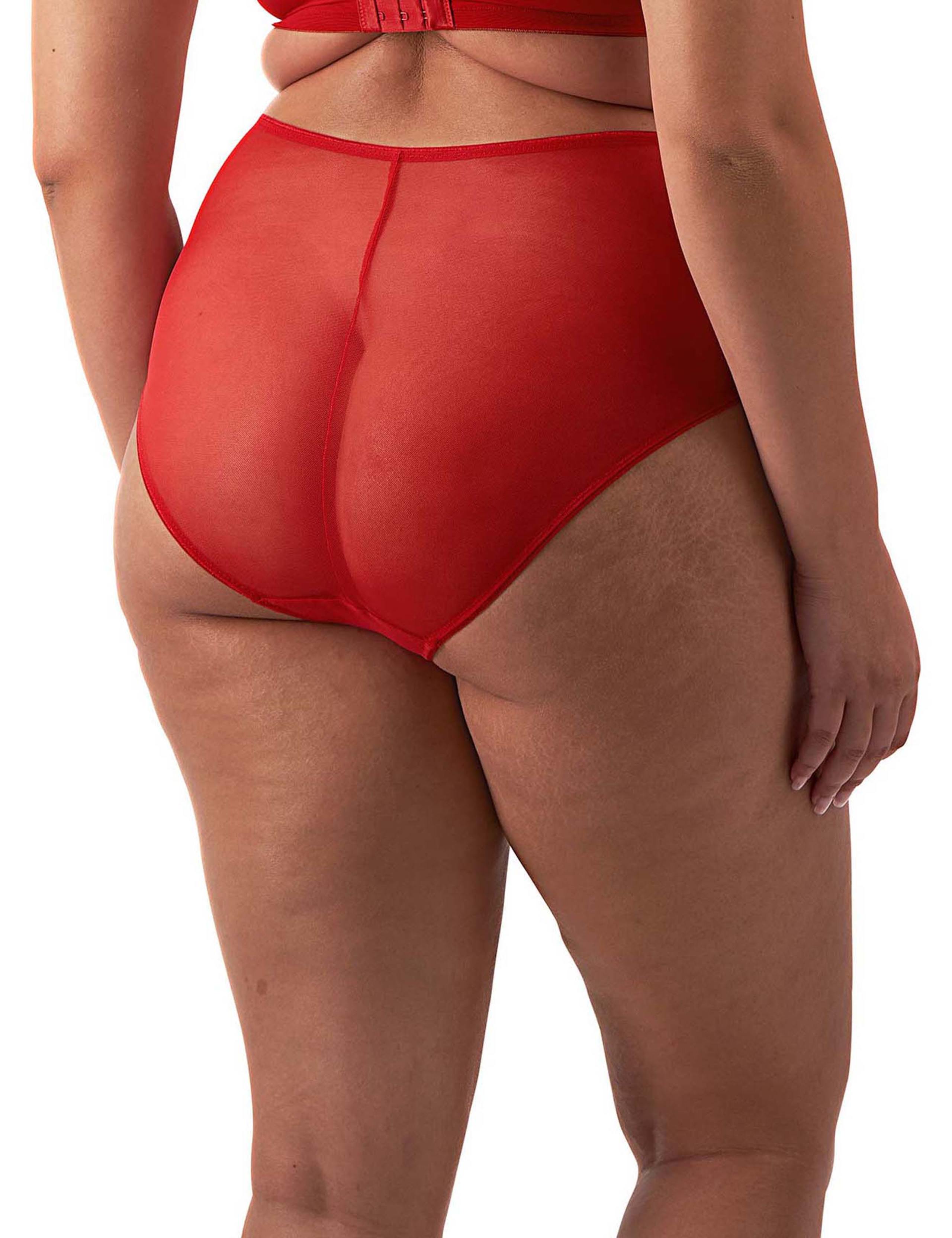 Matilda Embroidered High Waisted Briefs 4 of 6