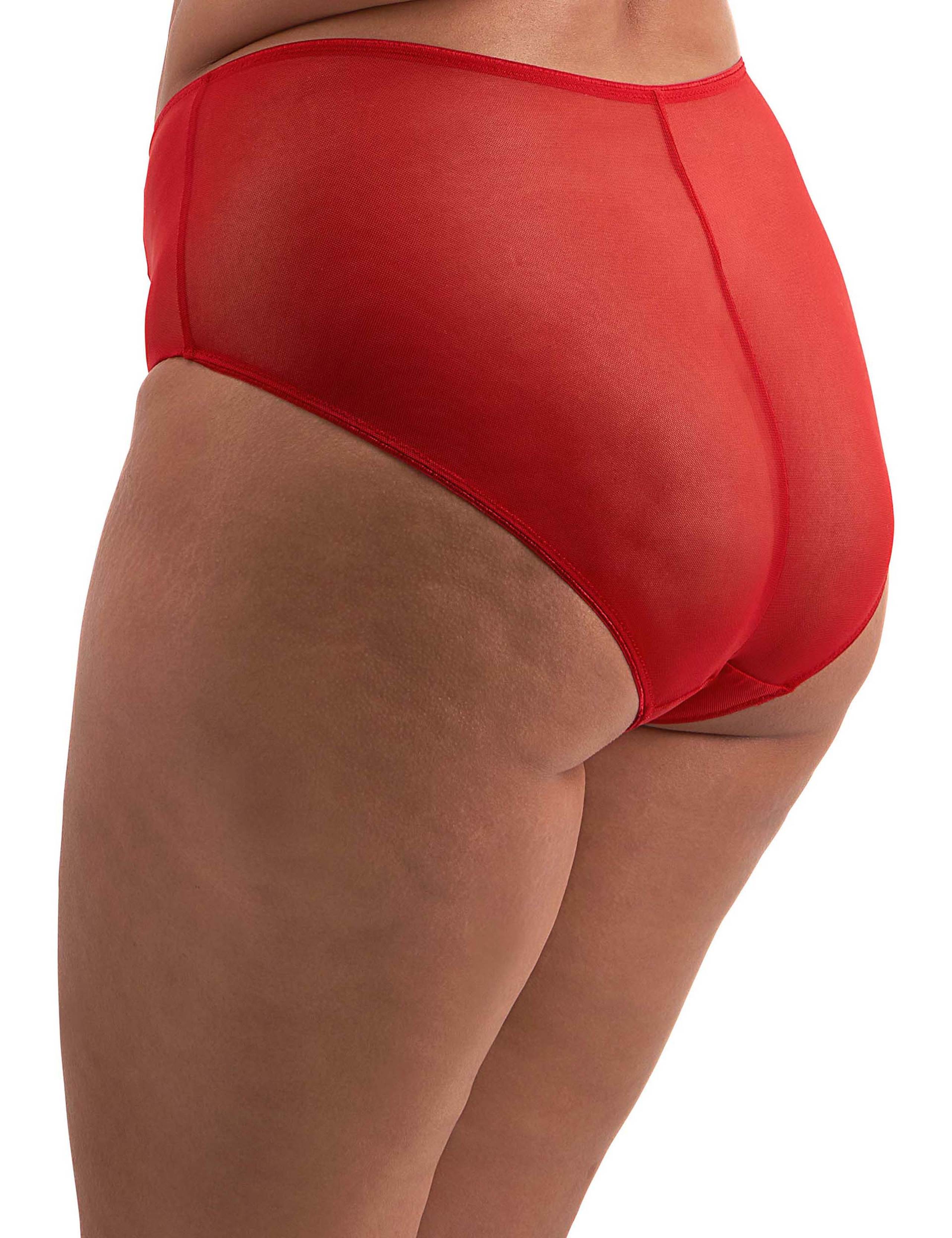 Matilda Embroidered High Waisted Briefs 5 of 6
