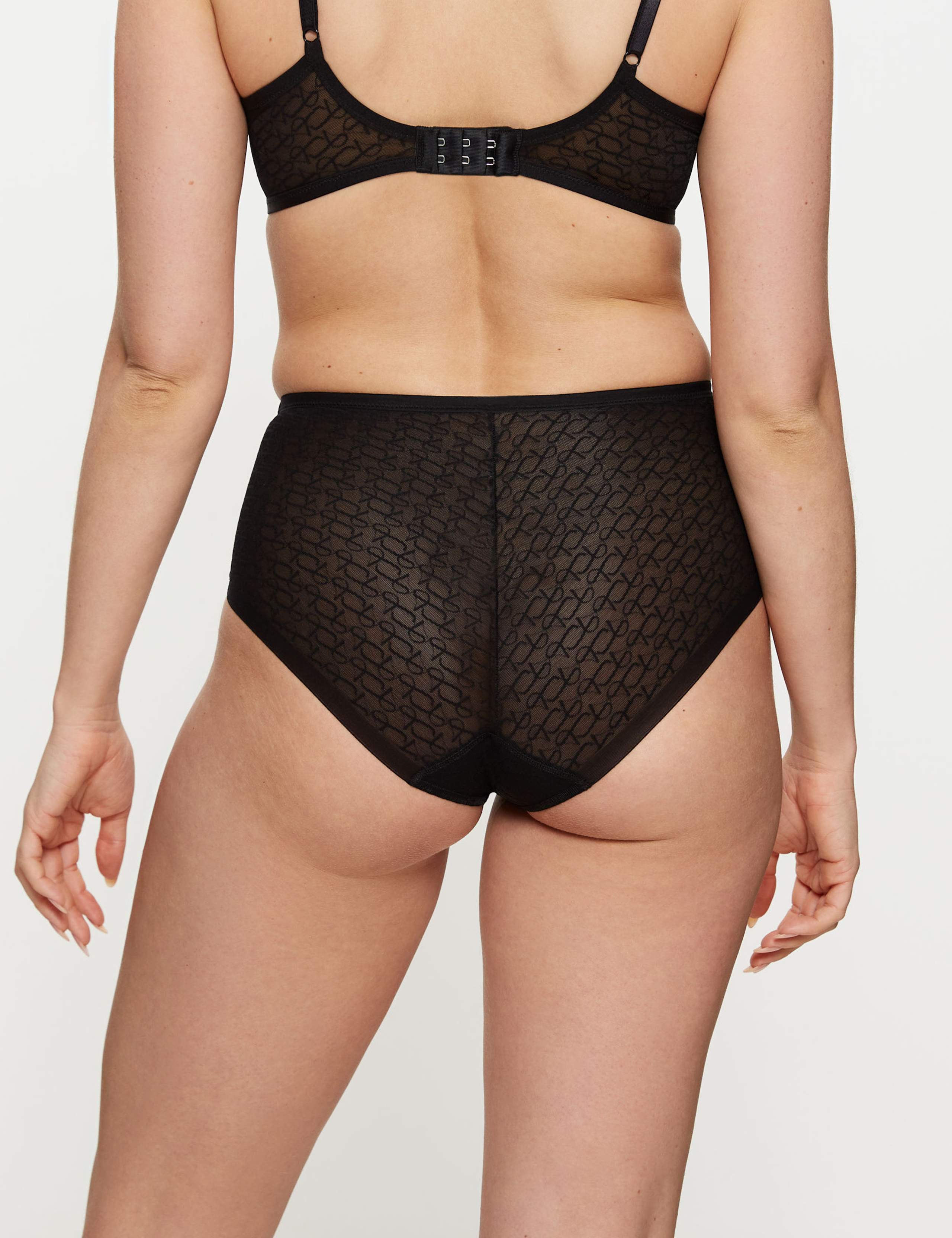 Signature Sheer High Waisted Full Briefs 4 of 5
