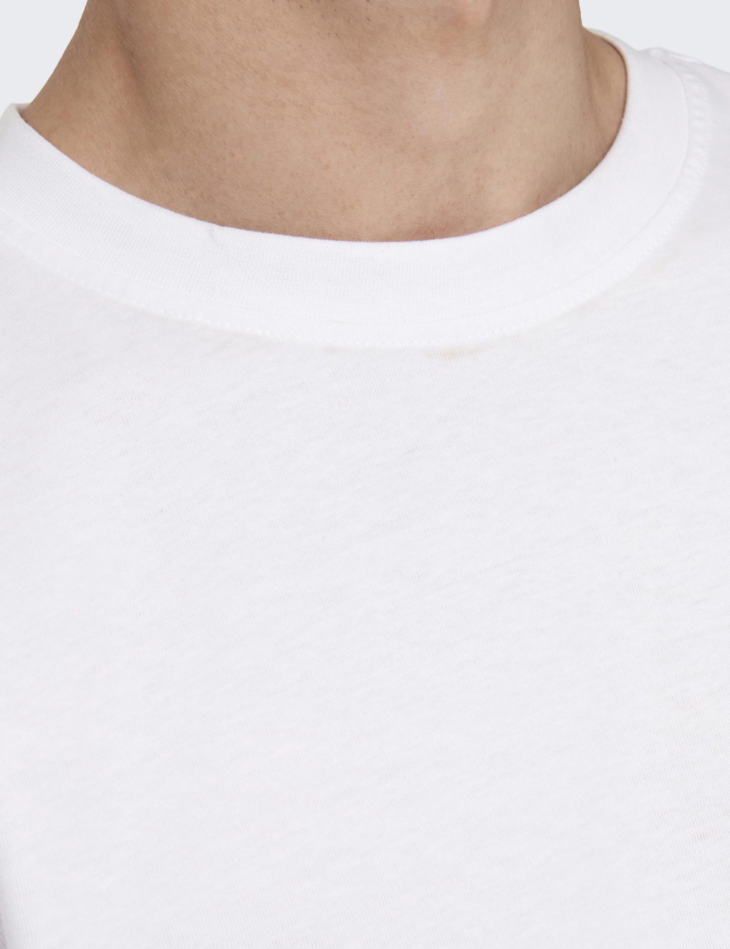 Cotton Crew Neck T-Shirt 5 of 6