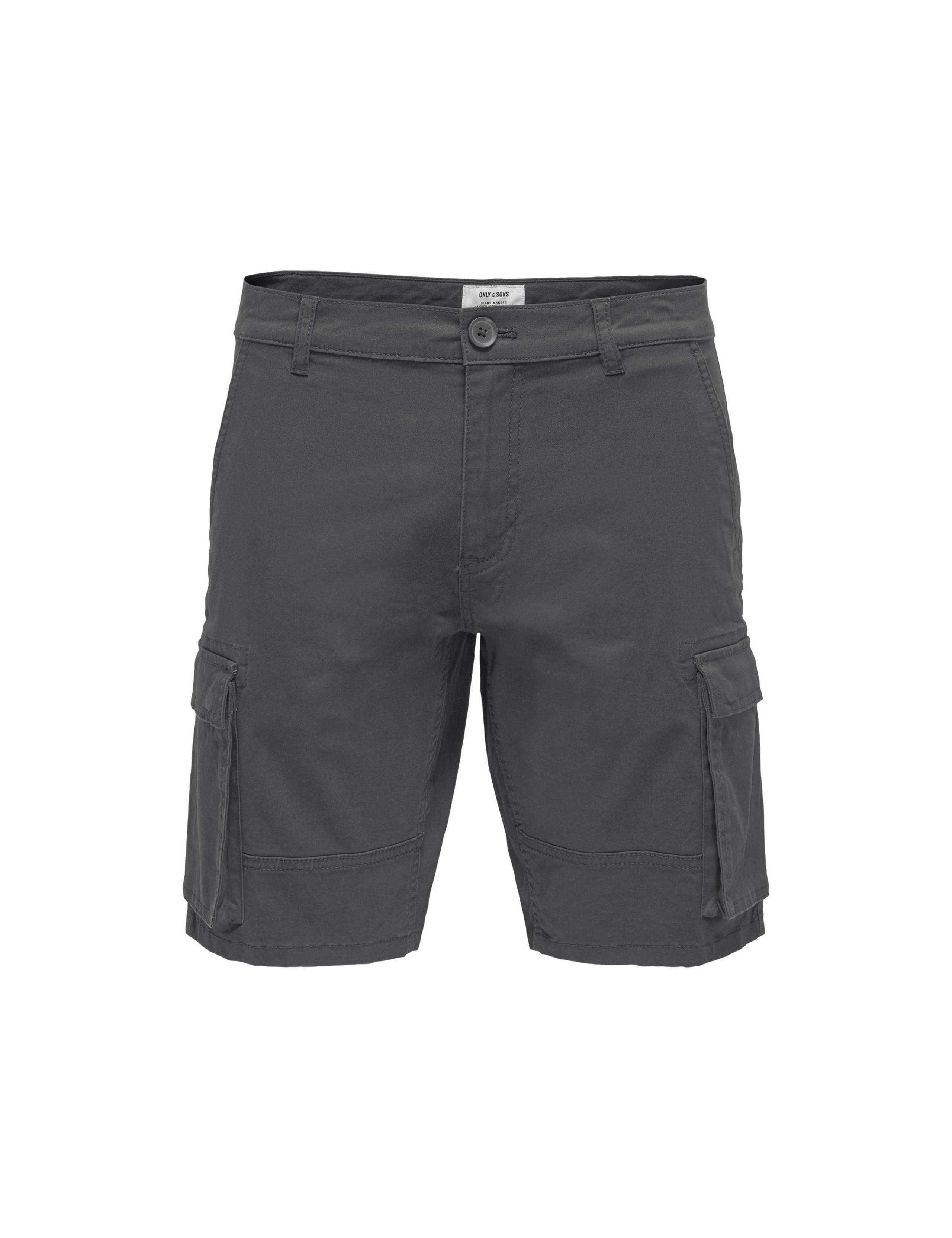 Regular Fit Cargo Shorts 2 of 4