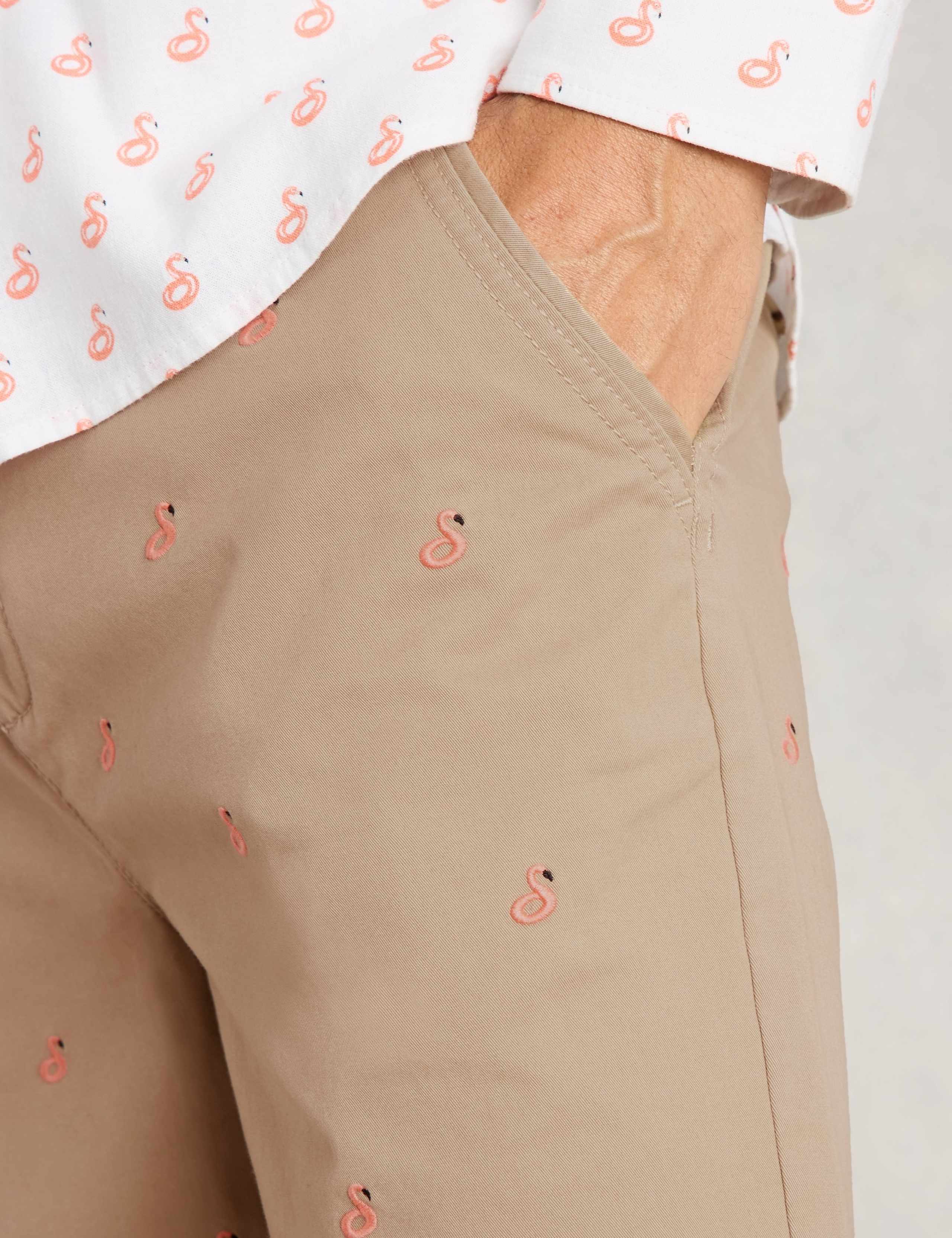 Regular Fit Flamingo Chino Shorts 5 of 6