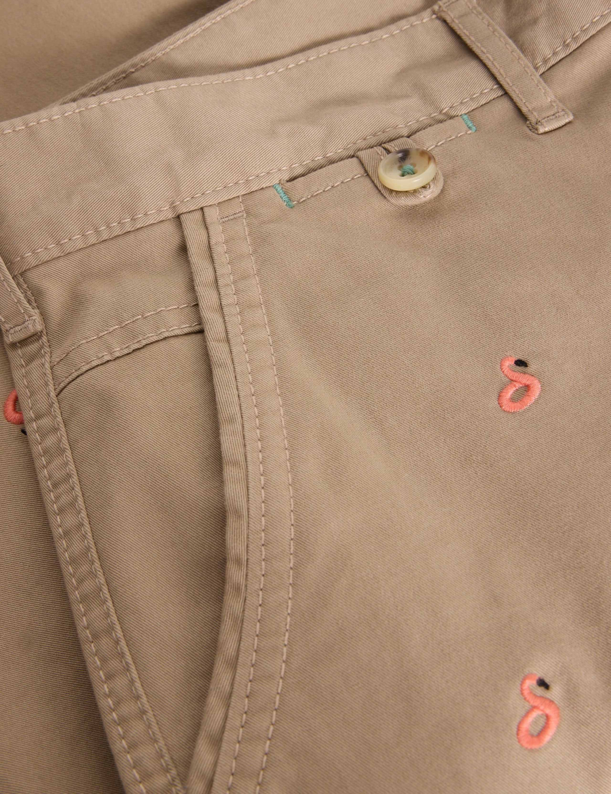 Regular Fit Flamingo Chino Shorts 6 of 6