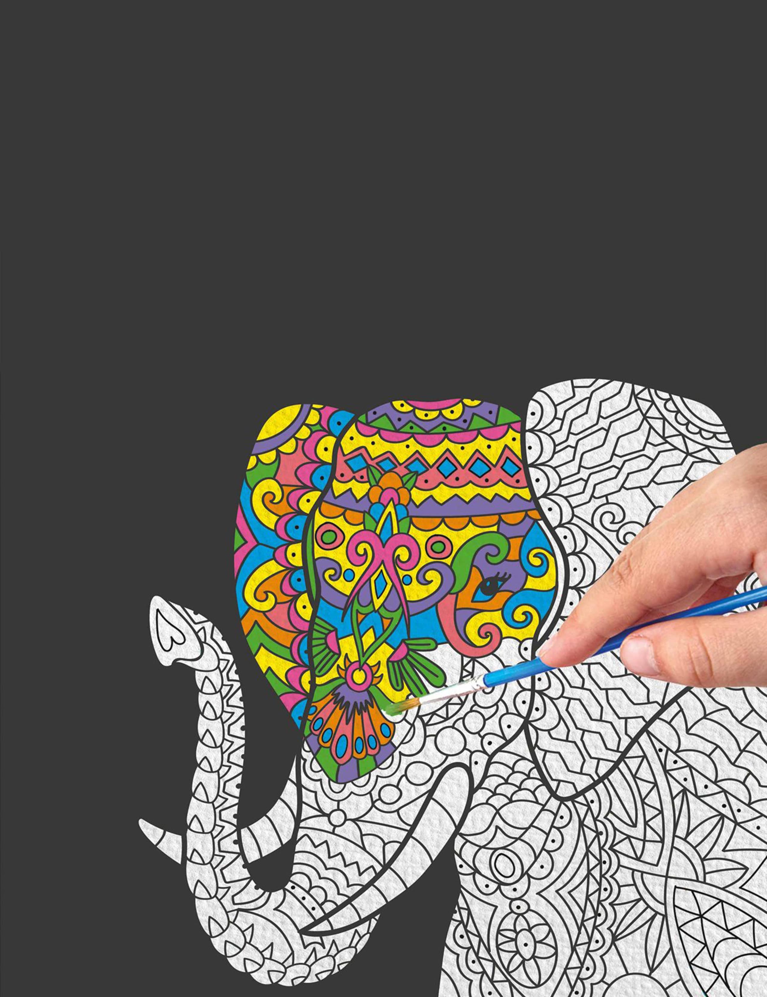 Animal Paint By Numbers Kit (8-12 Yrs) 5 of 7