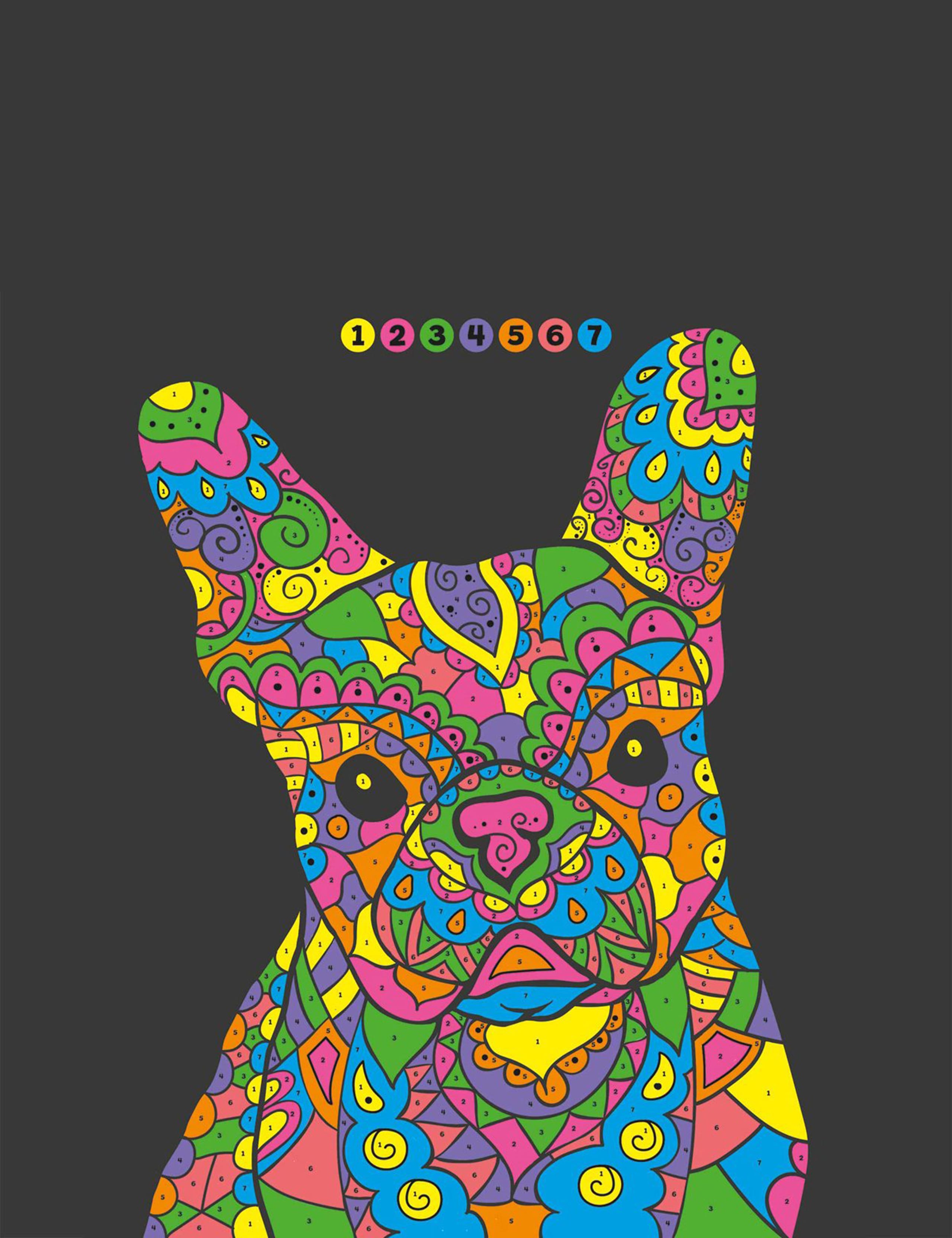 Animal Paint By Numbers Kit (8-12 Yrs) 6 of 7