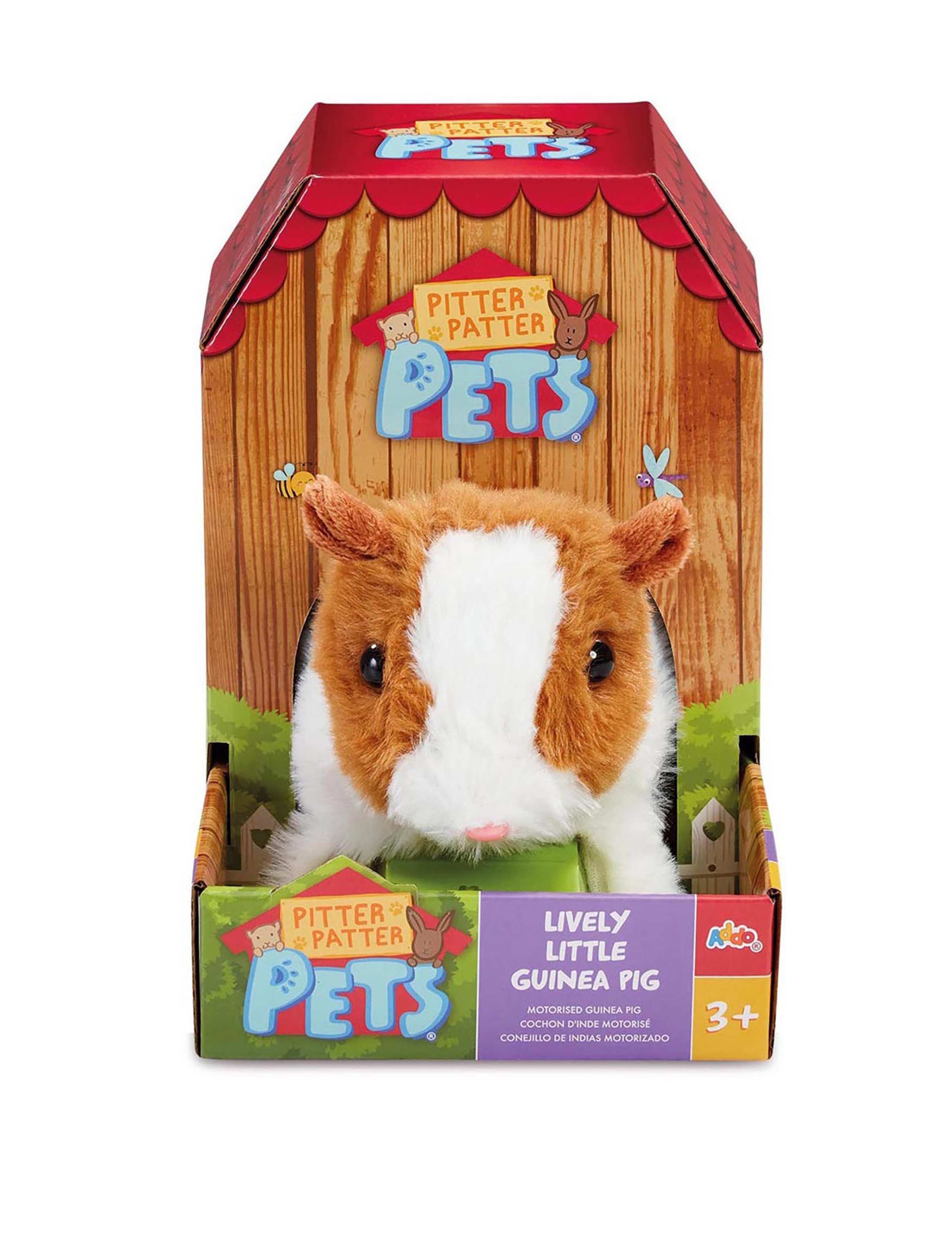 Lively Little Guinea Pig (3-6 Yrs) 1 of 3