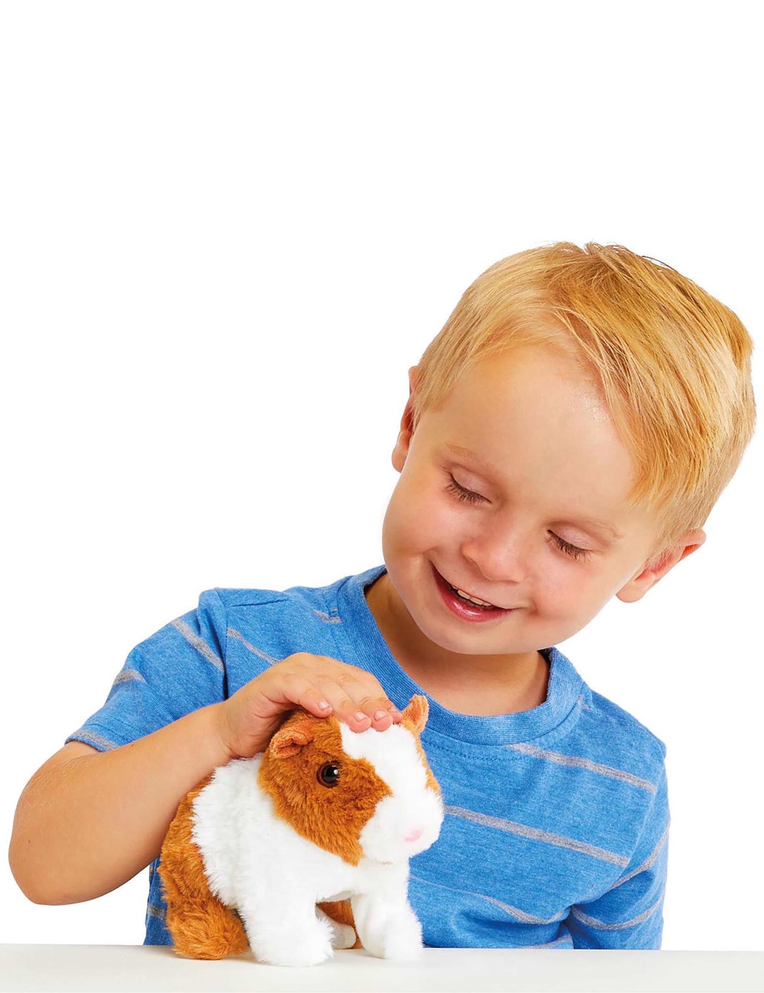 Lively Little Guinea Pig (3-6 Yrs) 3 of 3