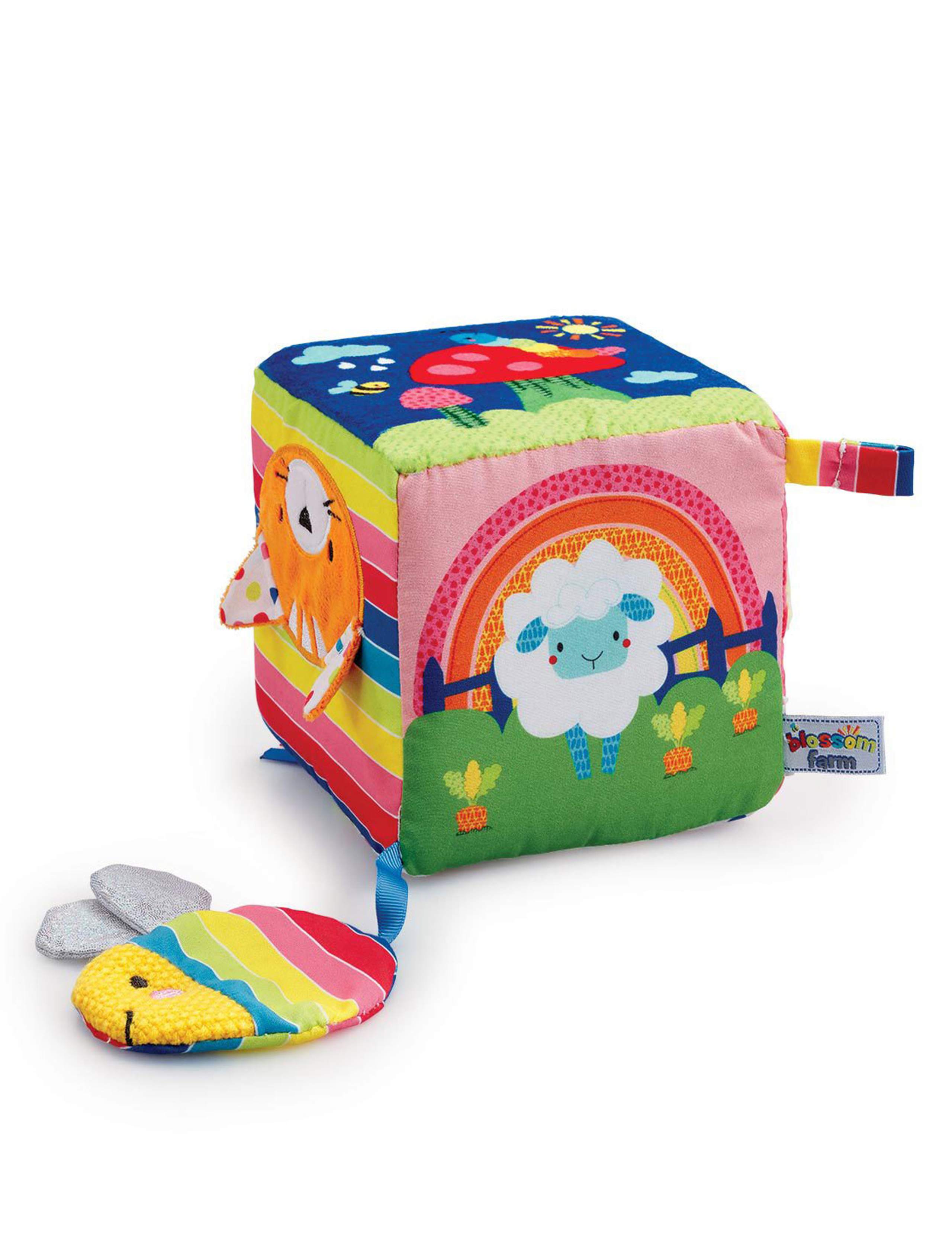 Blossom Farm Activity Cube (0+ Mths) 1 of 2