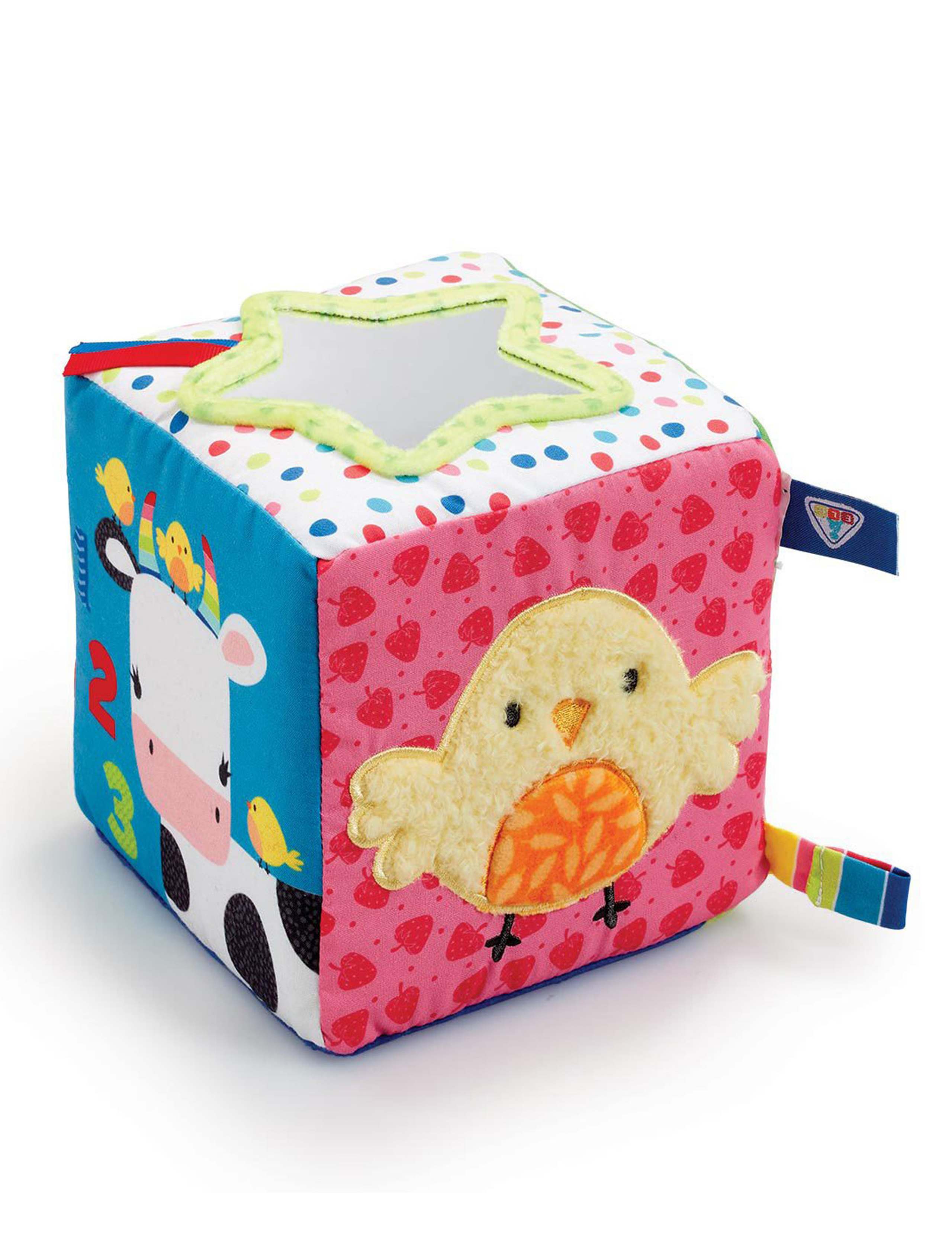 Blossom Farm Activity Cube (0+ Mths) 2 of 2