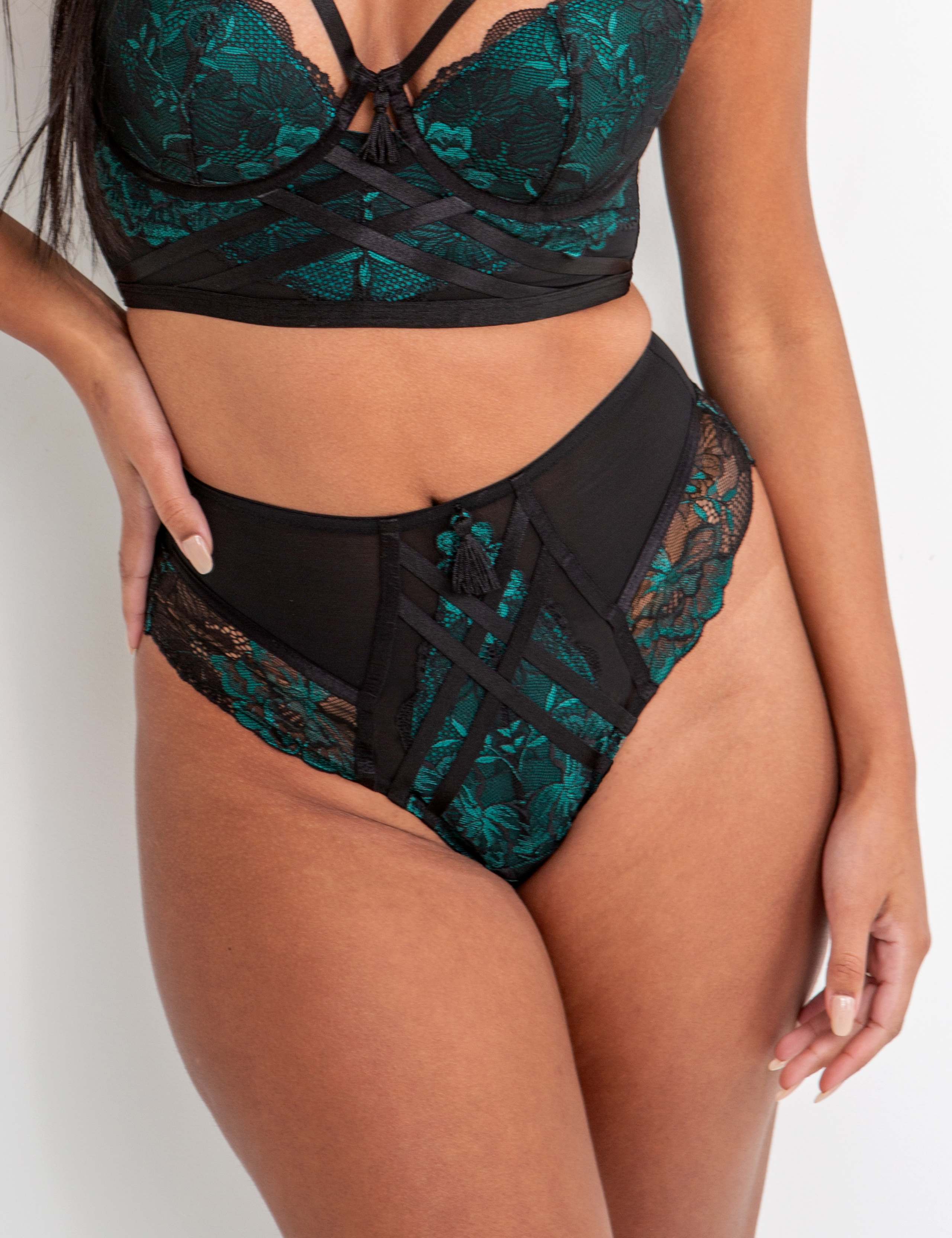 After Hours Lace High Waisted Full Briefs 1 of 7