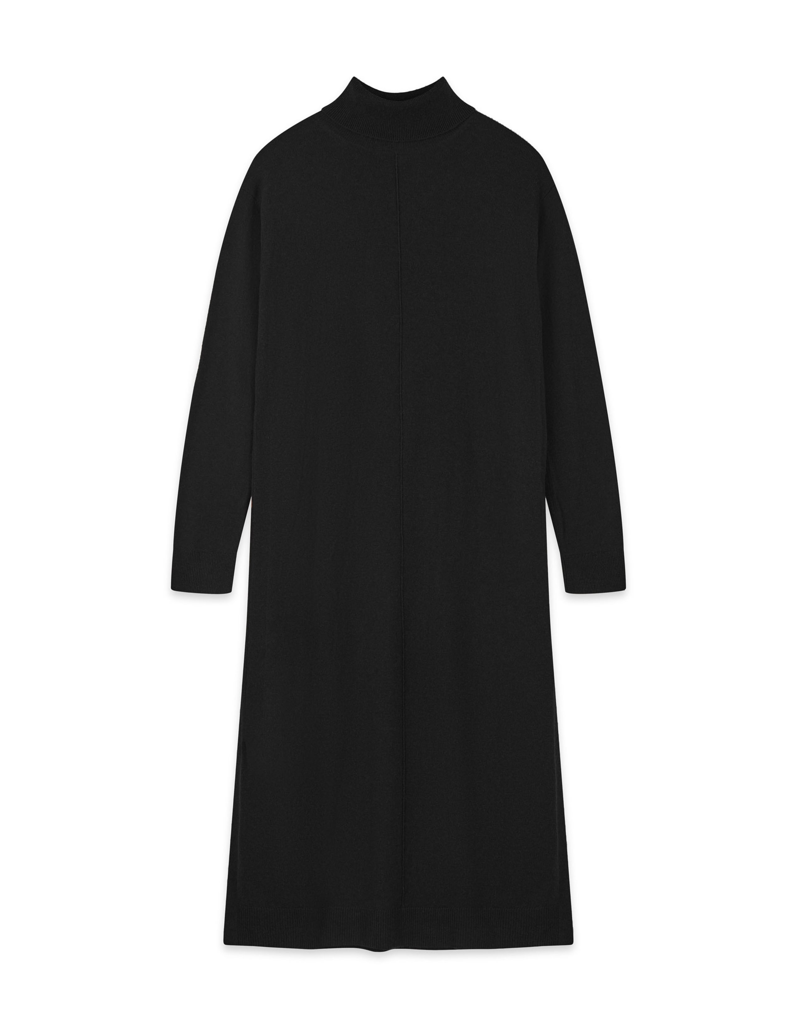 Wool Rich Roll Neck Midi Jumper Dress 2 of 3
