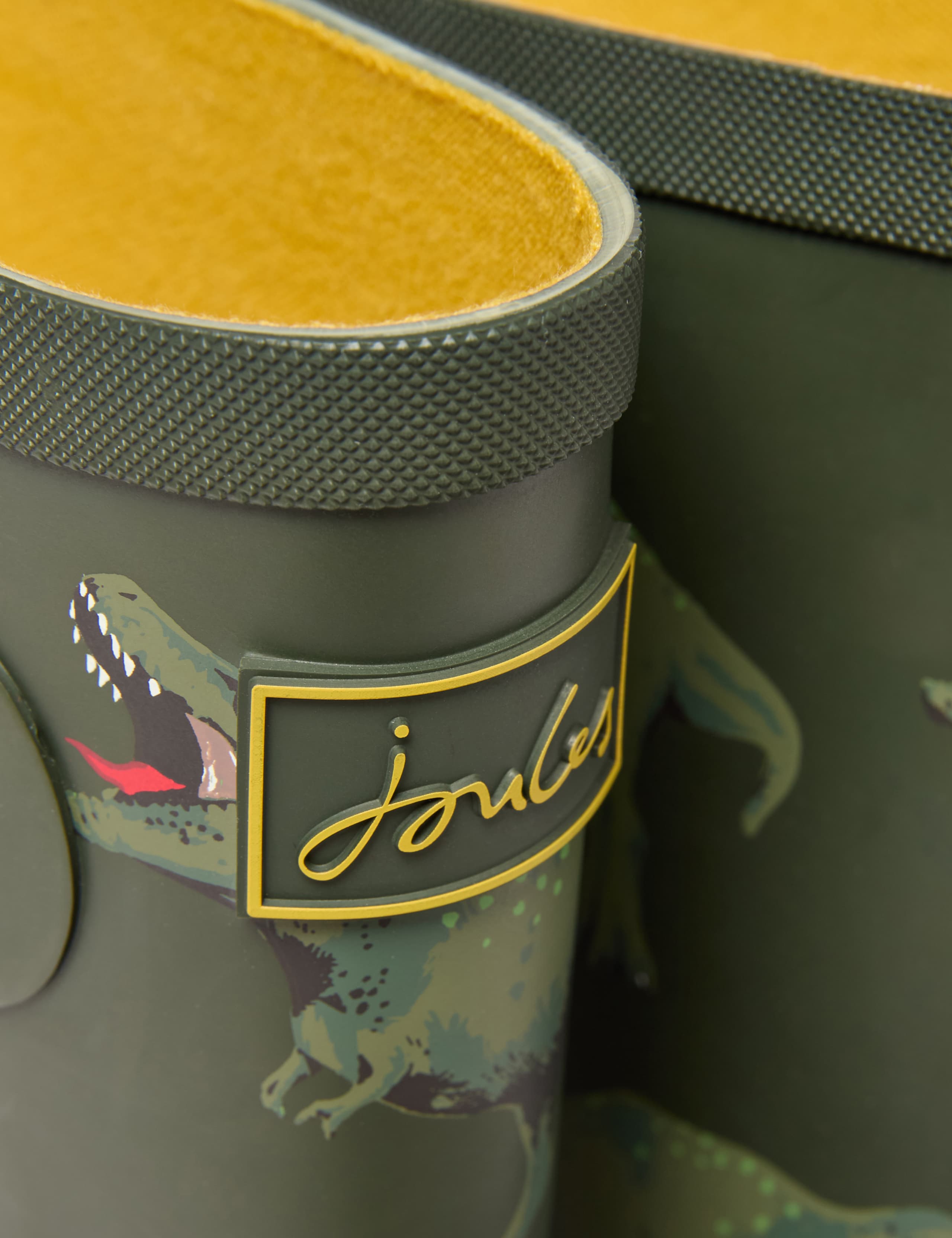 Kids' Dinosaur Wellies (8 Small - 3 Large) 4 of 6