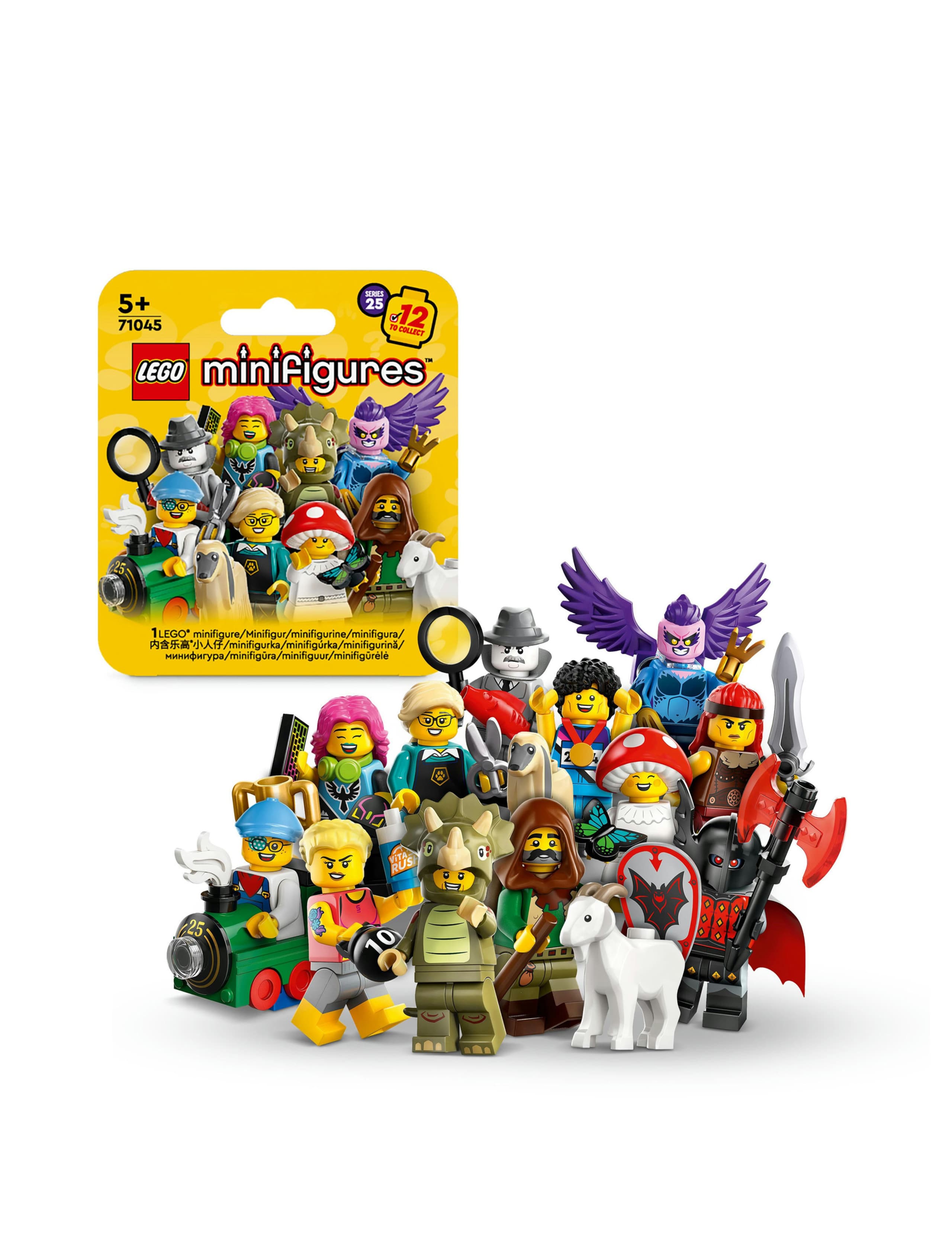 LEGO Minifigures Series 25 Collectible Set  (5+ Yrs) 1 of 6