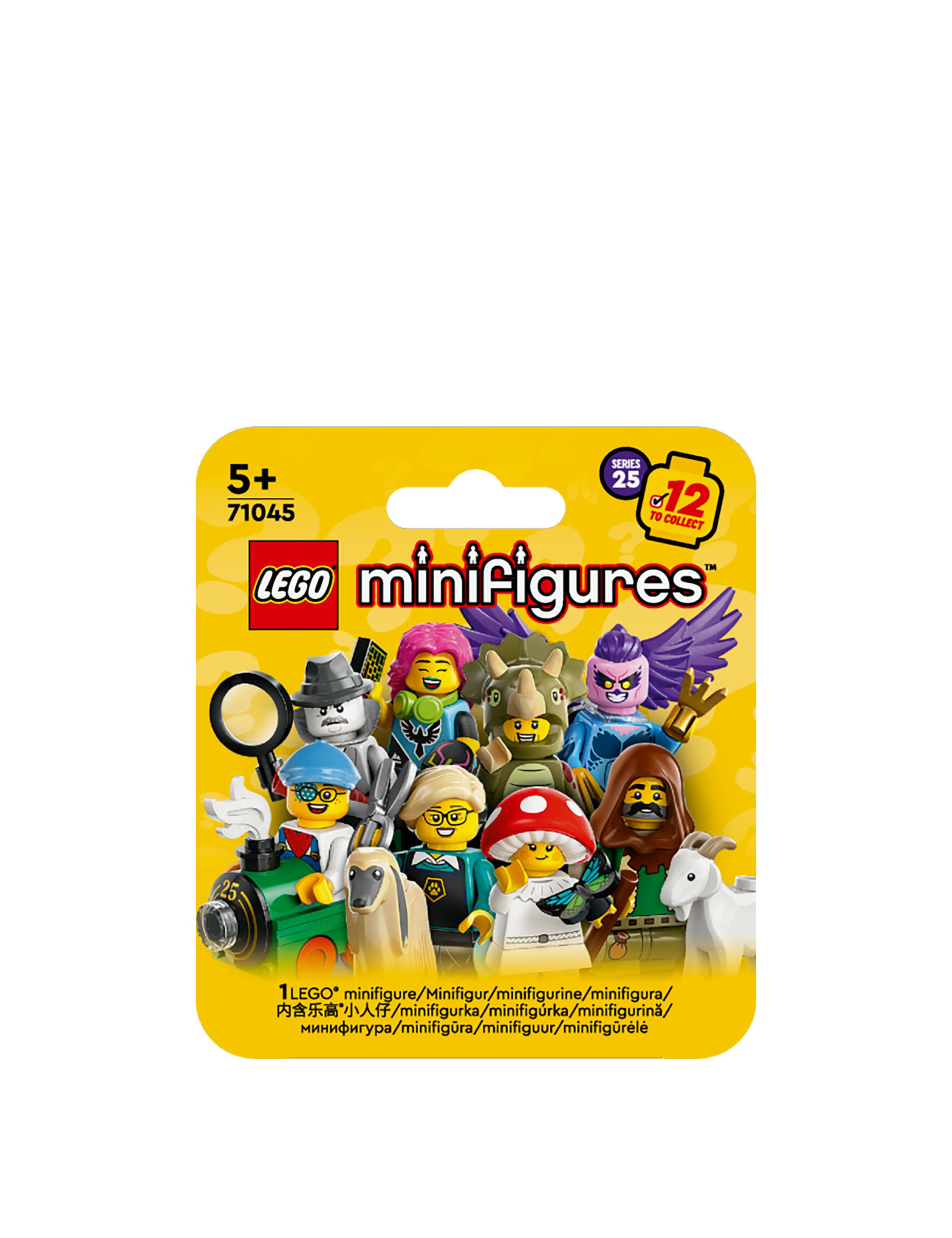 LEGO Minifigures Series 25 Collectible Set  (5+ Yrs) 2 of 6