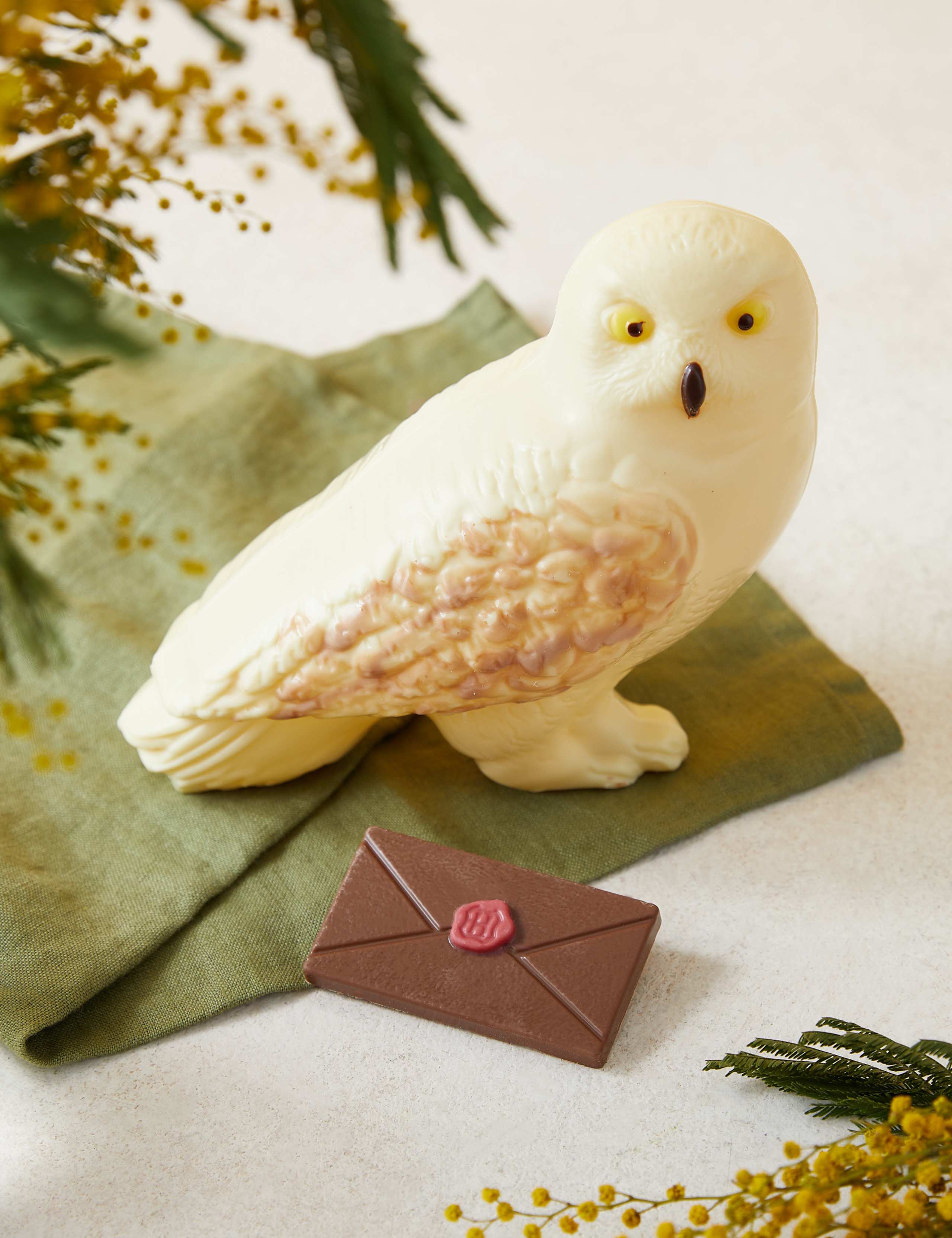 Chocolate Hedwig Owl 2 of 2