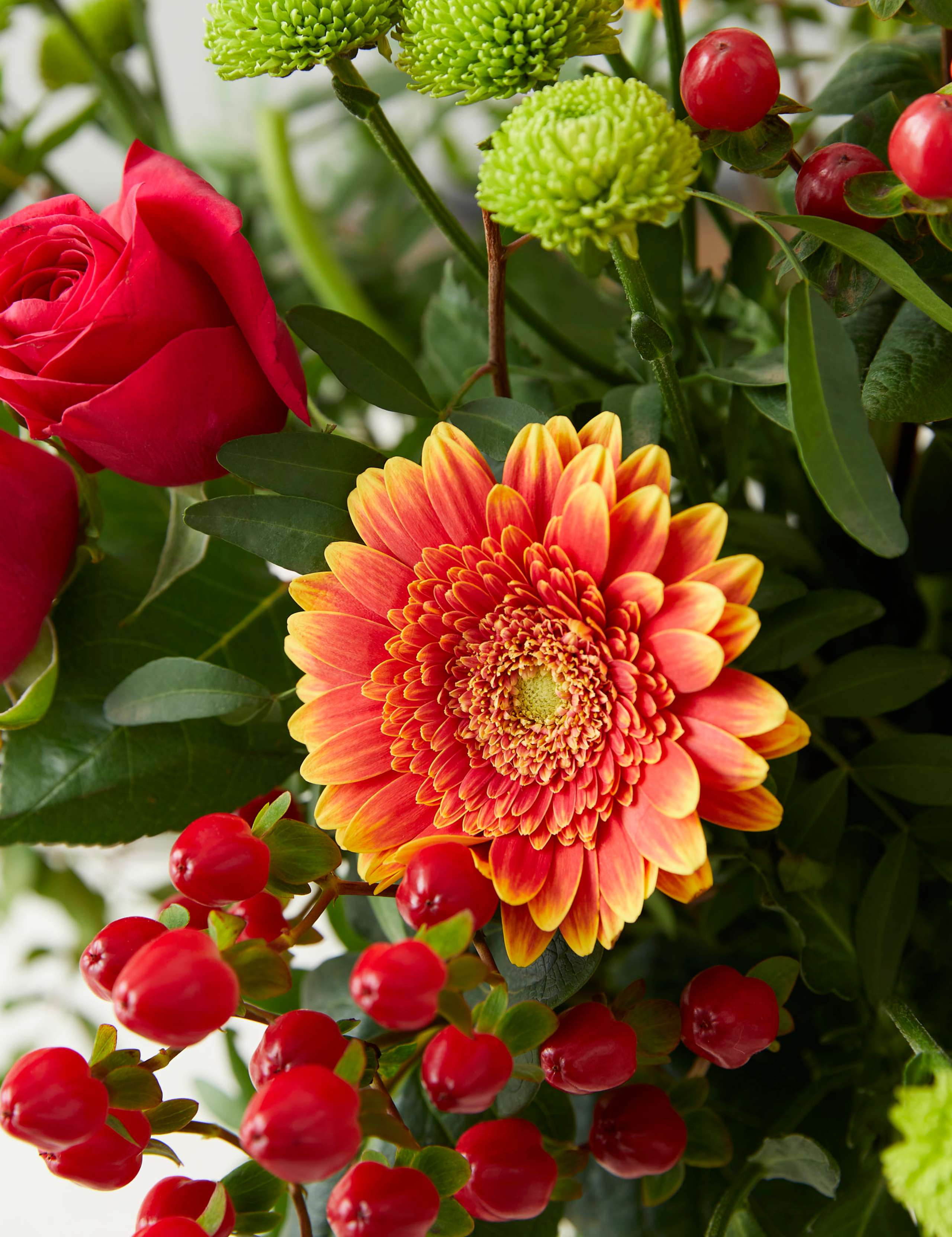 The Perfect Gift Flower Trio 3 of 3