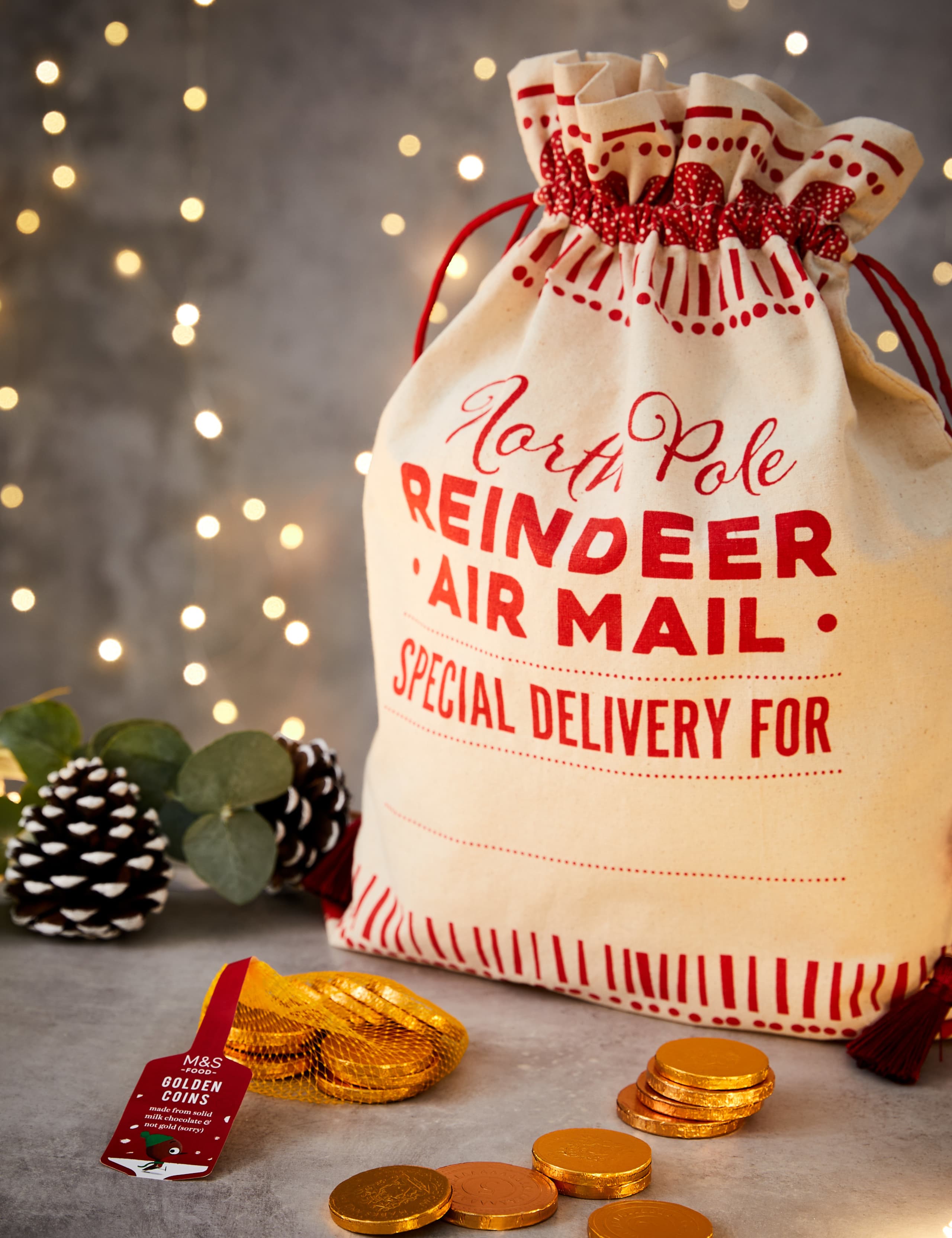 Santa's Very Merry Treat Bag 2 of 3